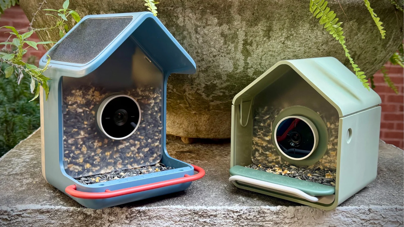 Birdbuddy just launched 2 new smart bird feeders, and I got to try them early