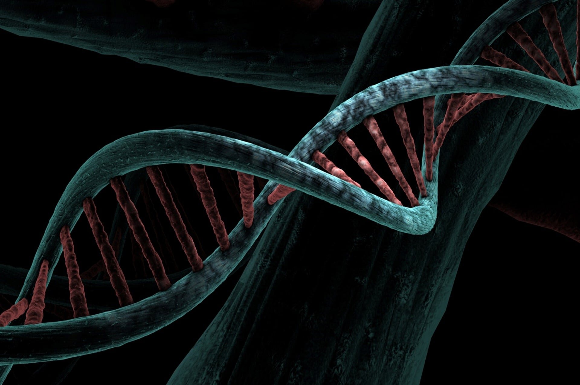 MRI scans and DNA data uncover new genetic links to fatty liver disease