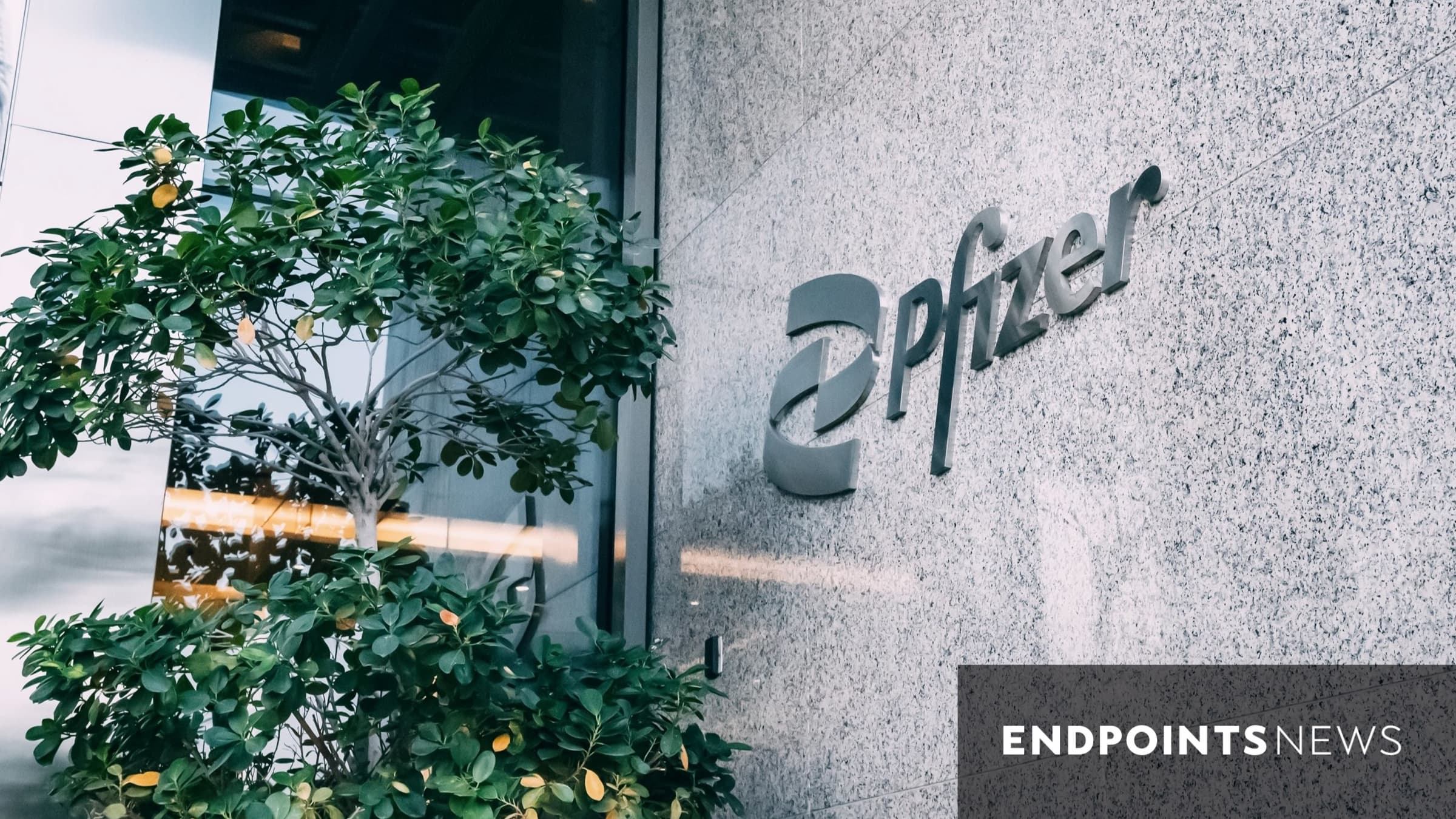 Pfizer details mixed Lyme disease vaccine data
