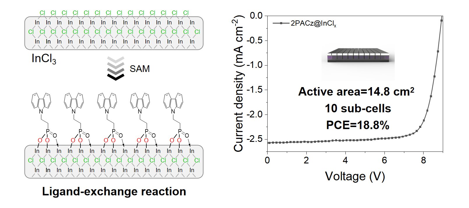 Molecular locking strategy enables efficient and scalable organic solar cells