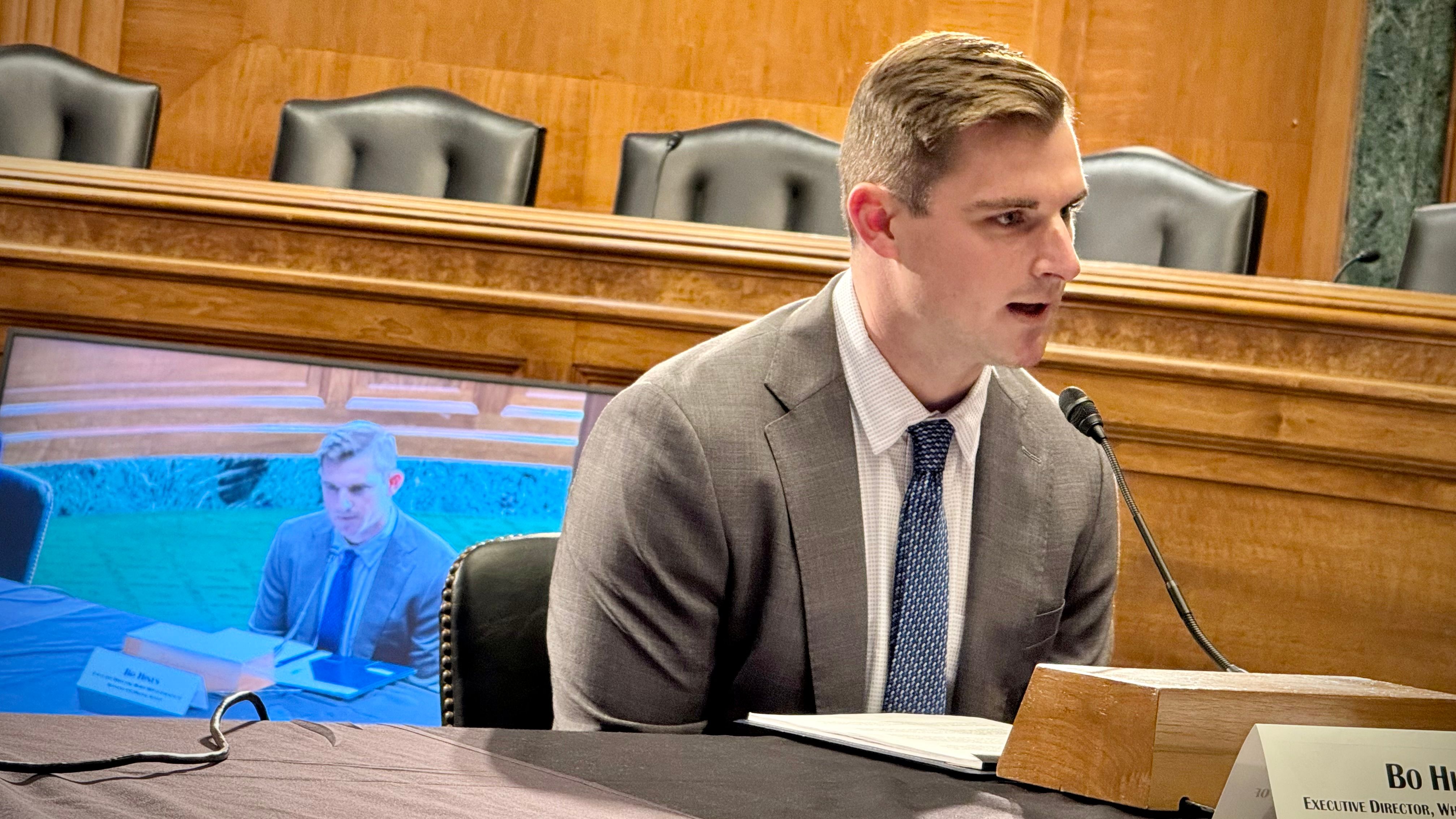Senate's top Democratic investigator looking into Tether payments to Bo Hines' firm