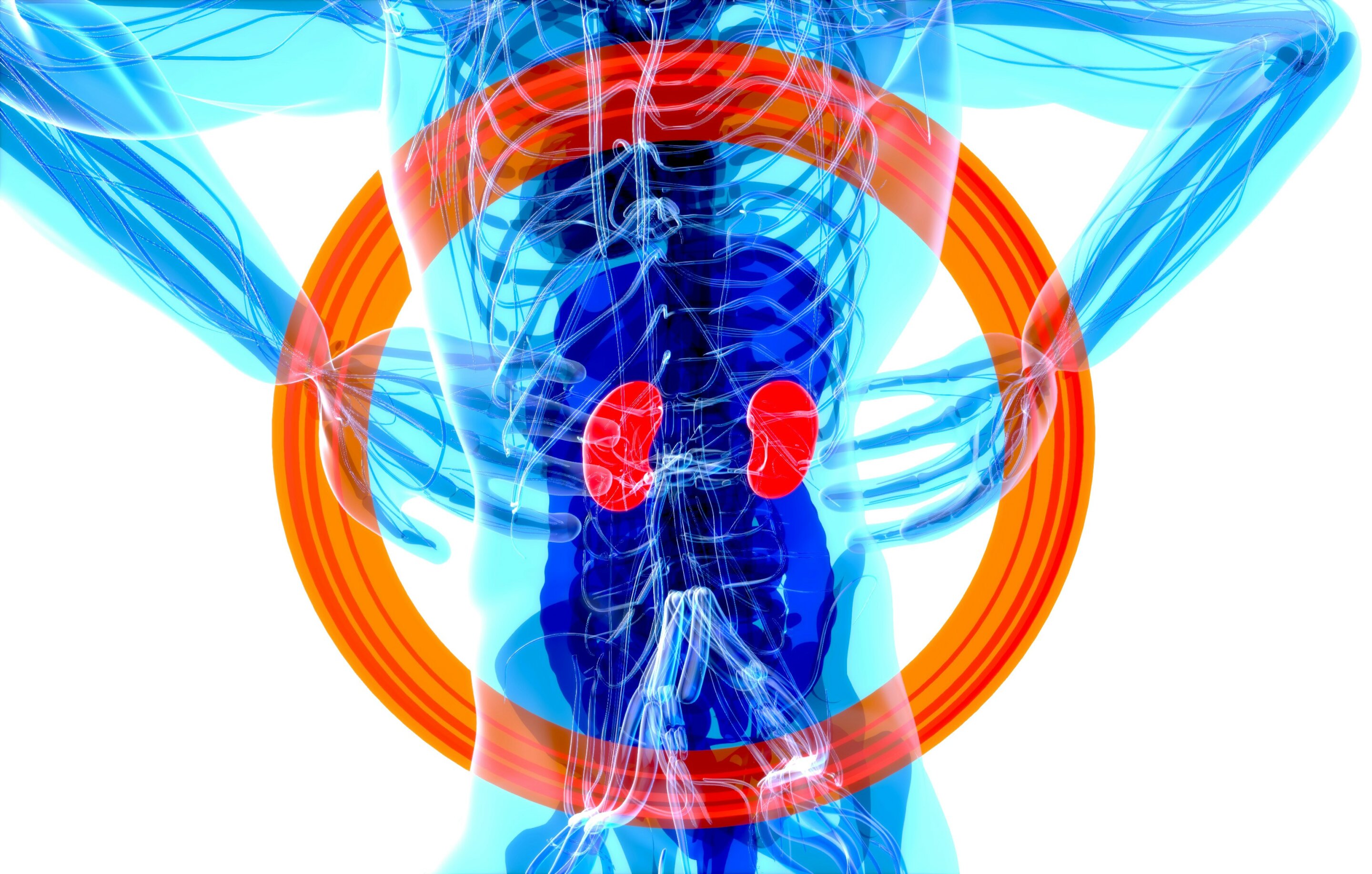 Clinical support tool helps primary care health professionals detect and treat chronic kidney disease