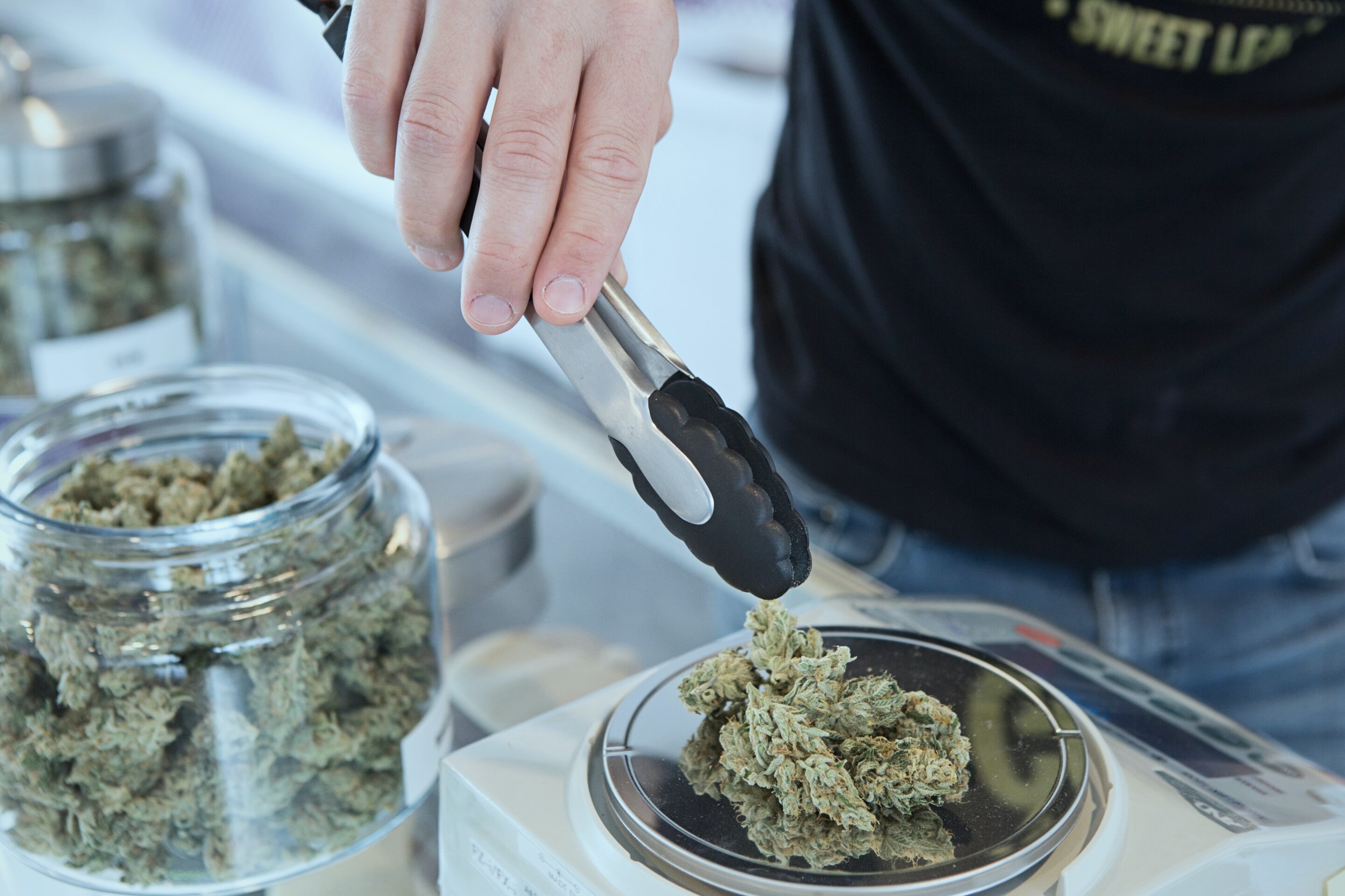 US cannabis legalization linked to rise in cardiovascular hospital admissions