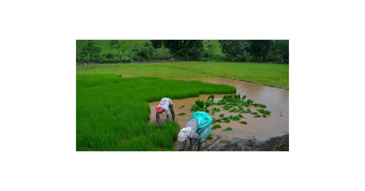 India Voter-Roll Protests Widen as Farmers Set to Join In