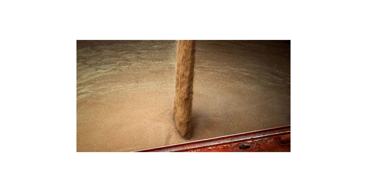 Russia Turns to a Disputed Region to Keep Wheat Exports Flowing