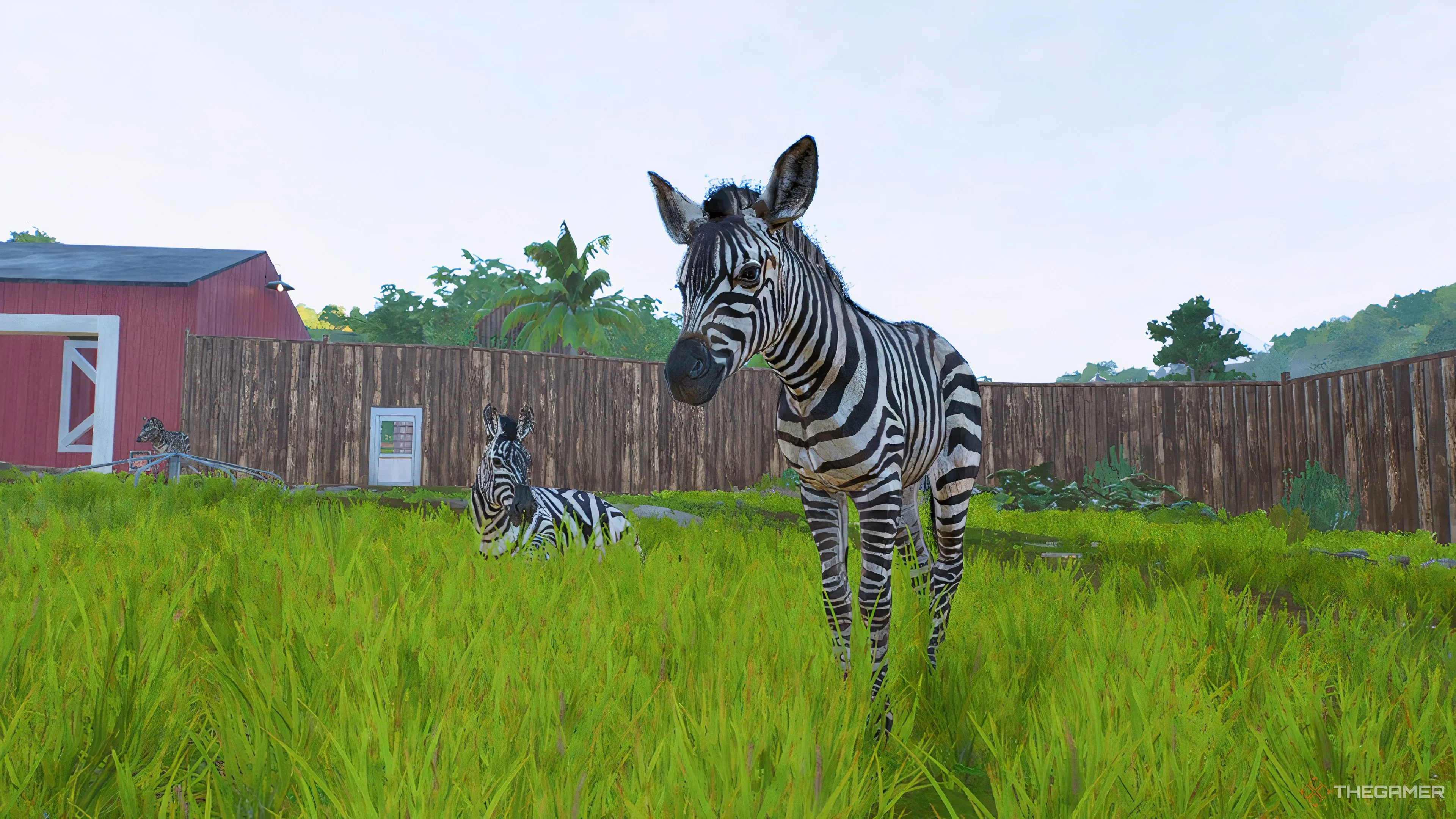 How To Build A 5-Star Zoo In Planet Zoo 2