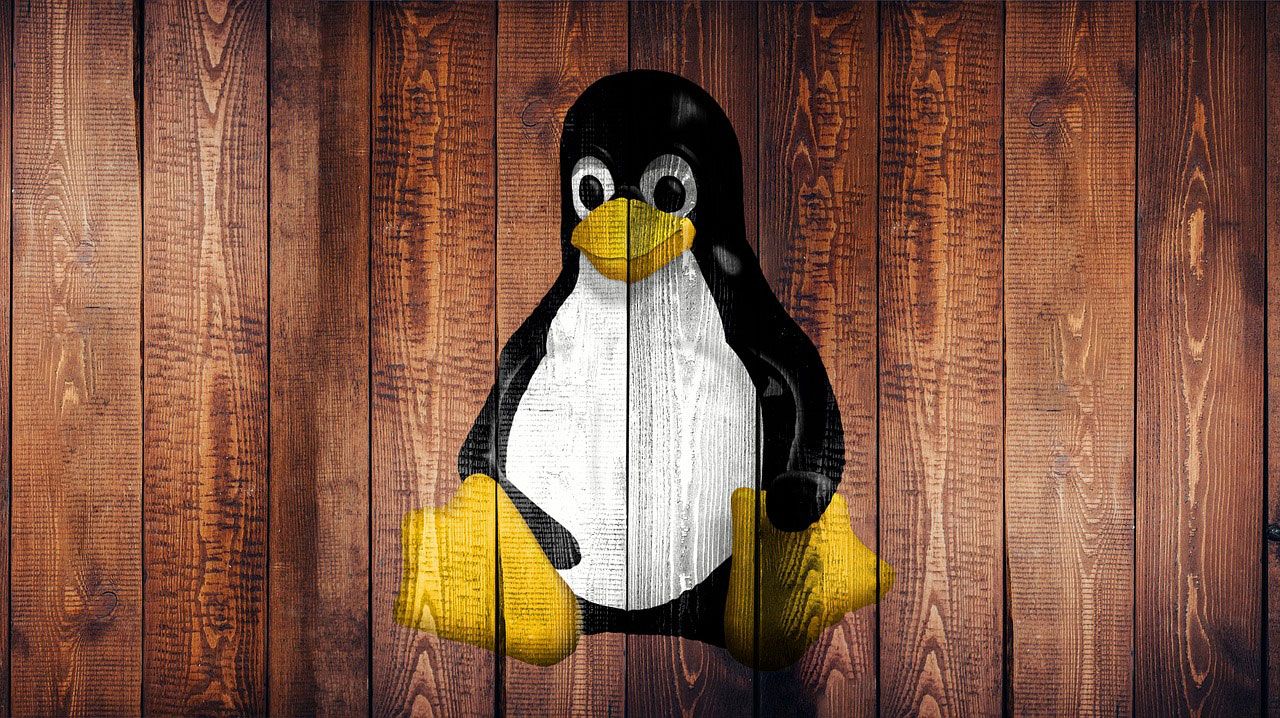 A public outing of severe and unfixed Linux kernel vulnerabilities should have you thinking of updating your SteamOS or other distros to beta branches