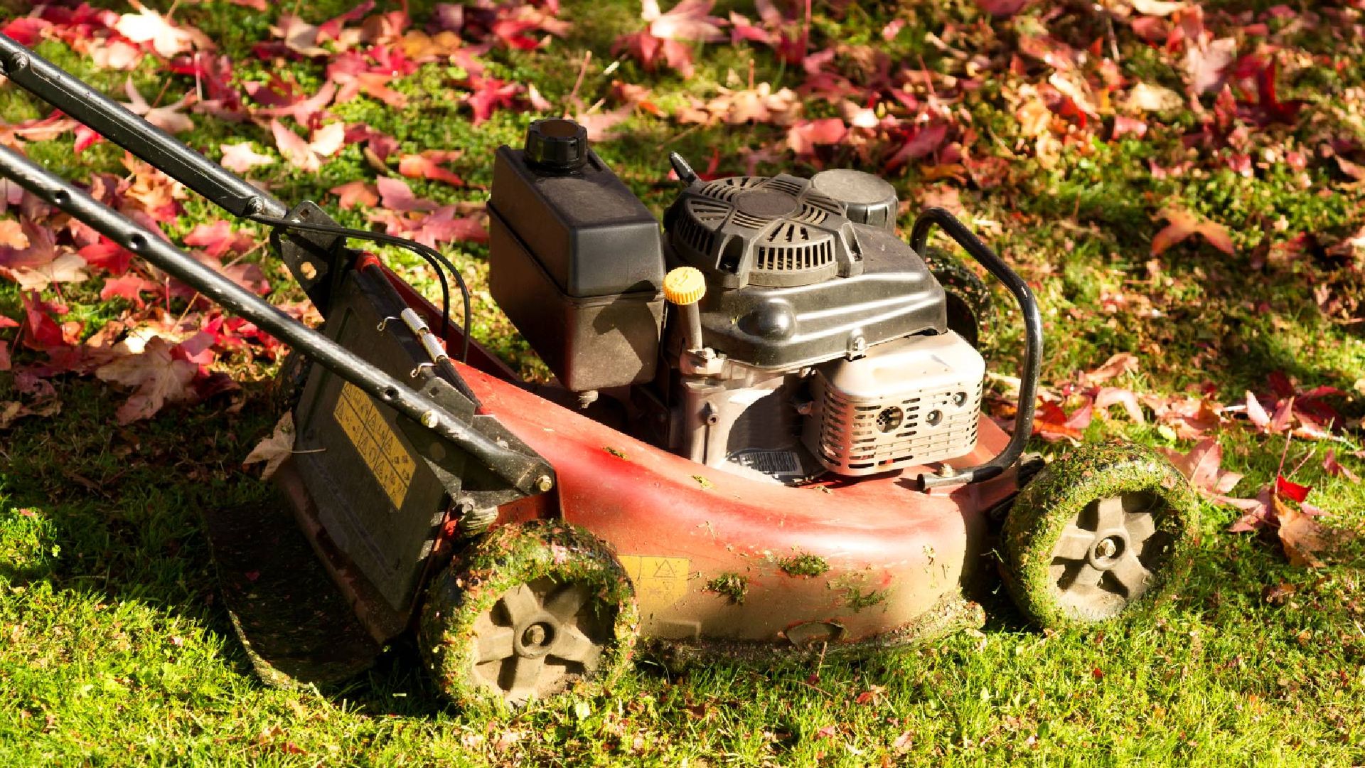 Don't leave gas in your lawnmower this fall — do this one thing before temperatures drop