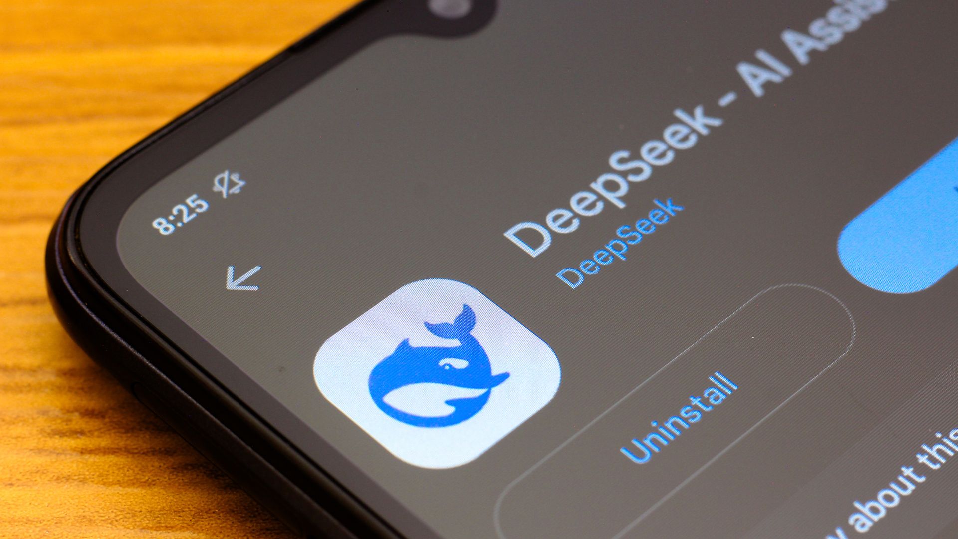 Deepseek's latest AI model is smarter than ever, but its low running costs come at a price
