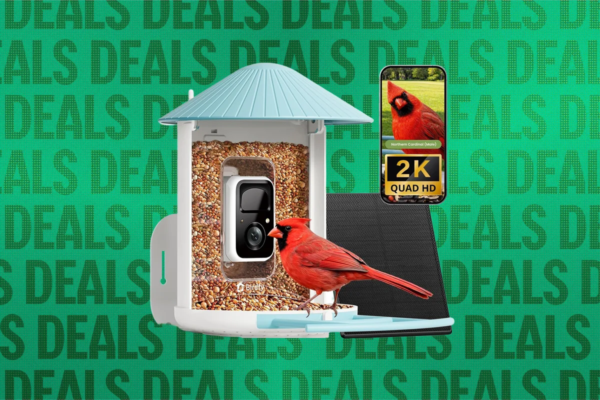 Best Early Black Friday Smart Bird Feeder Deals (2026)
