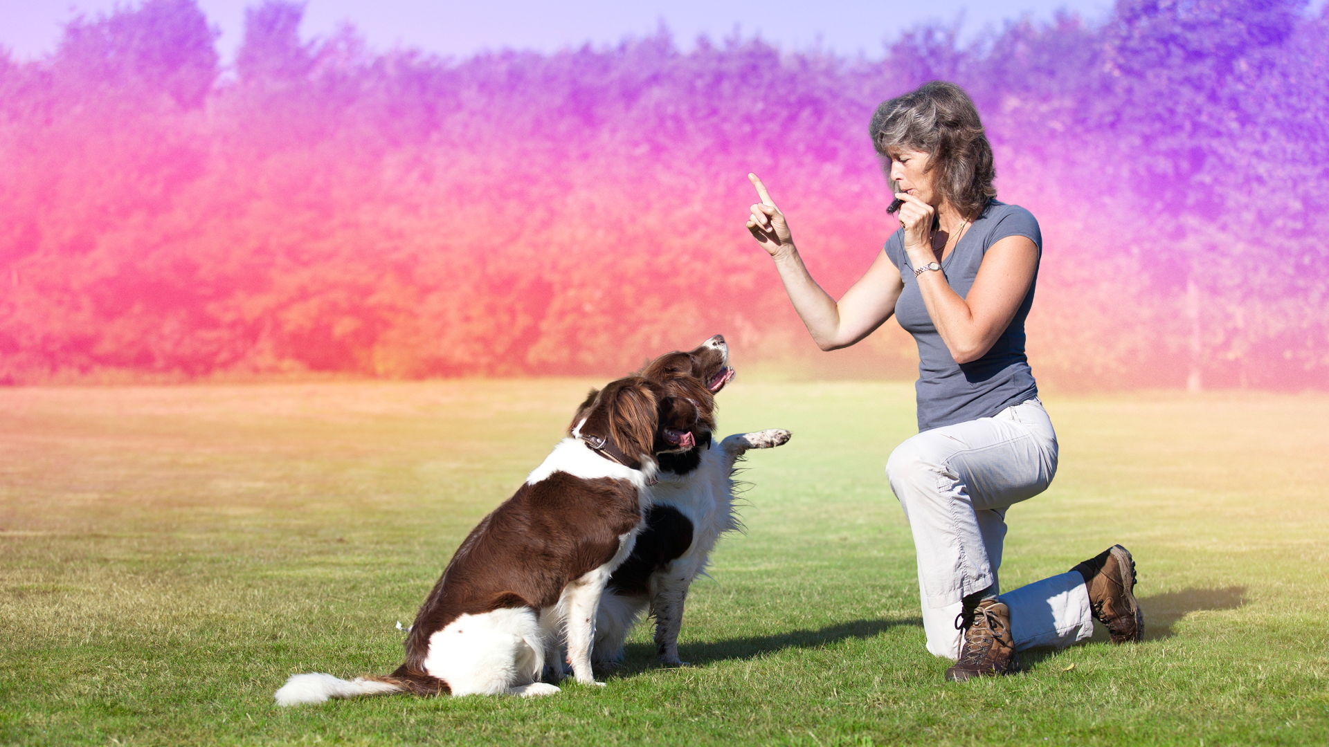 What Dog Trainers Really Think About These 5 Pet Tech Gadgets