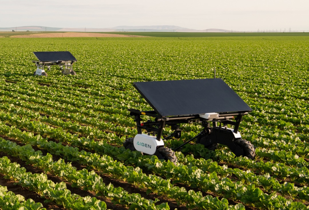 Data farmers: Ag-tech startup Aigen grows AI-generated weeds to train its solar-powered farm robots
