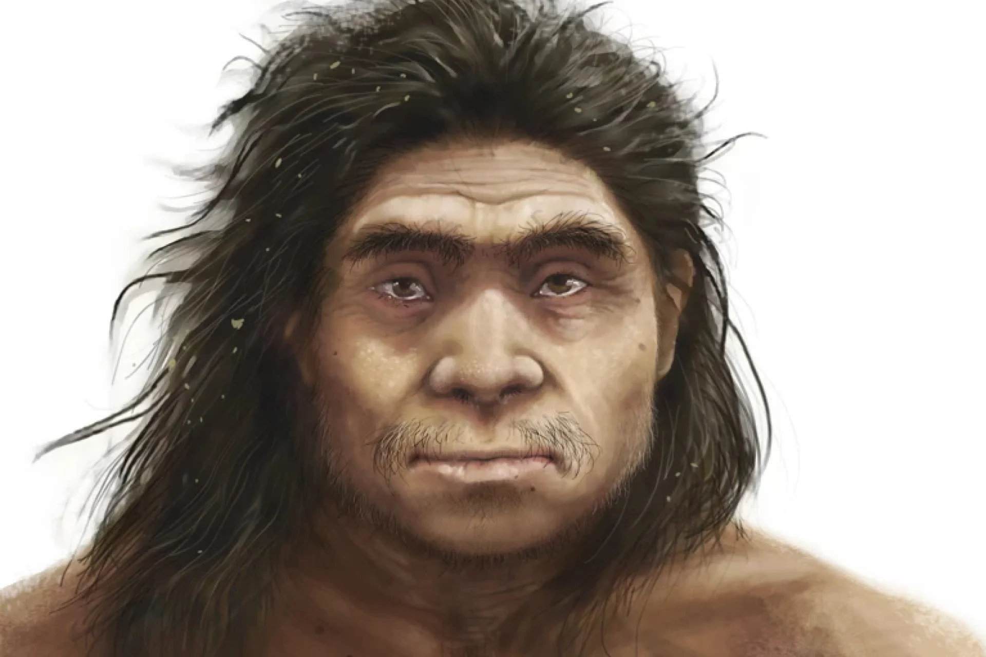 This Is What Our Mysterious Denisovan Cousins Probably Looked Like