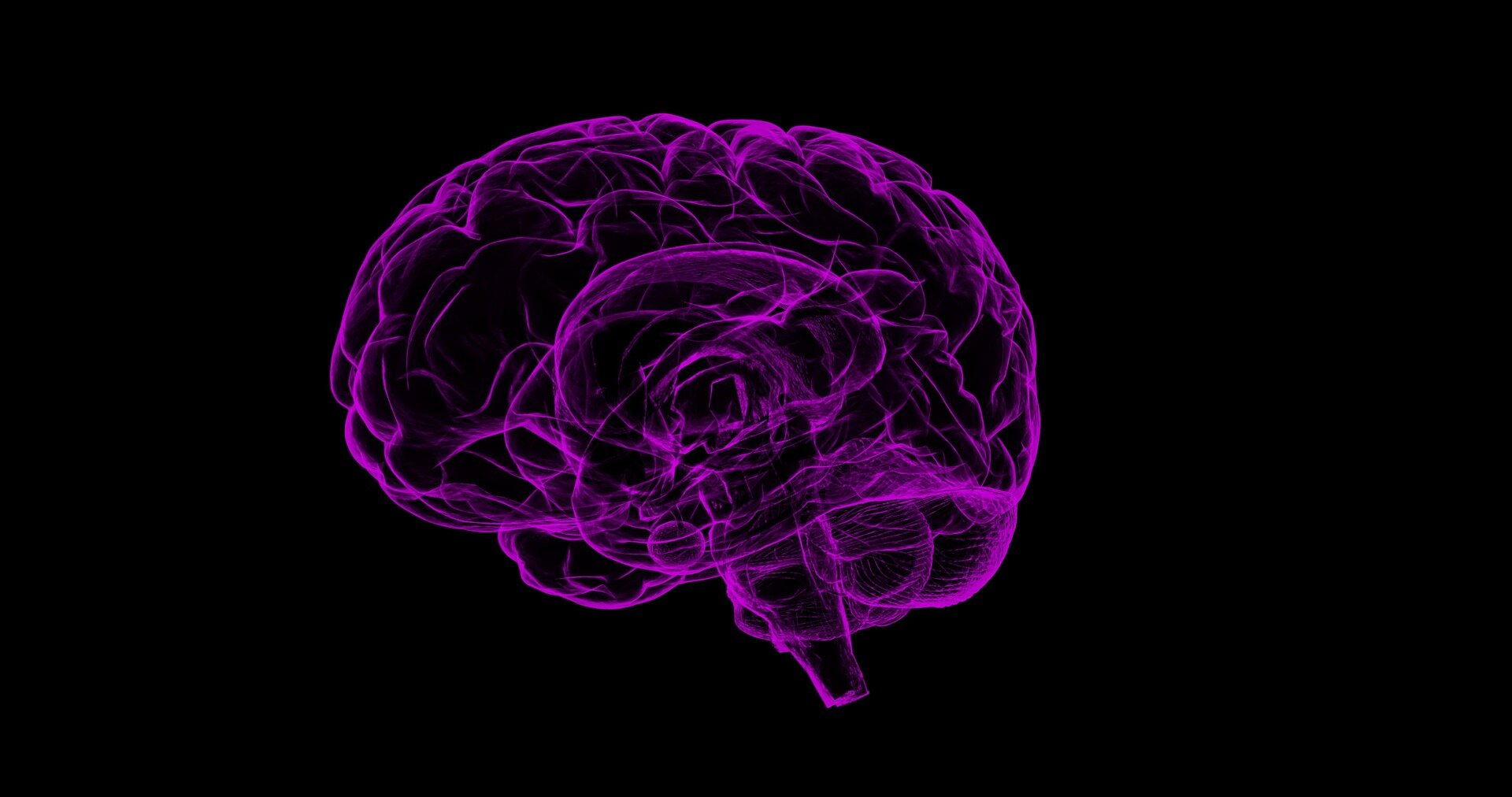 What can people who remember everything teach us about the brain?