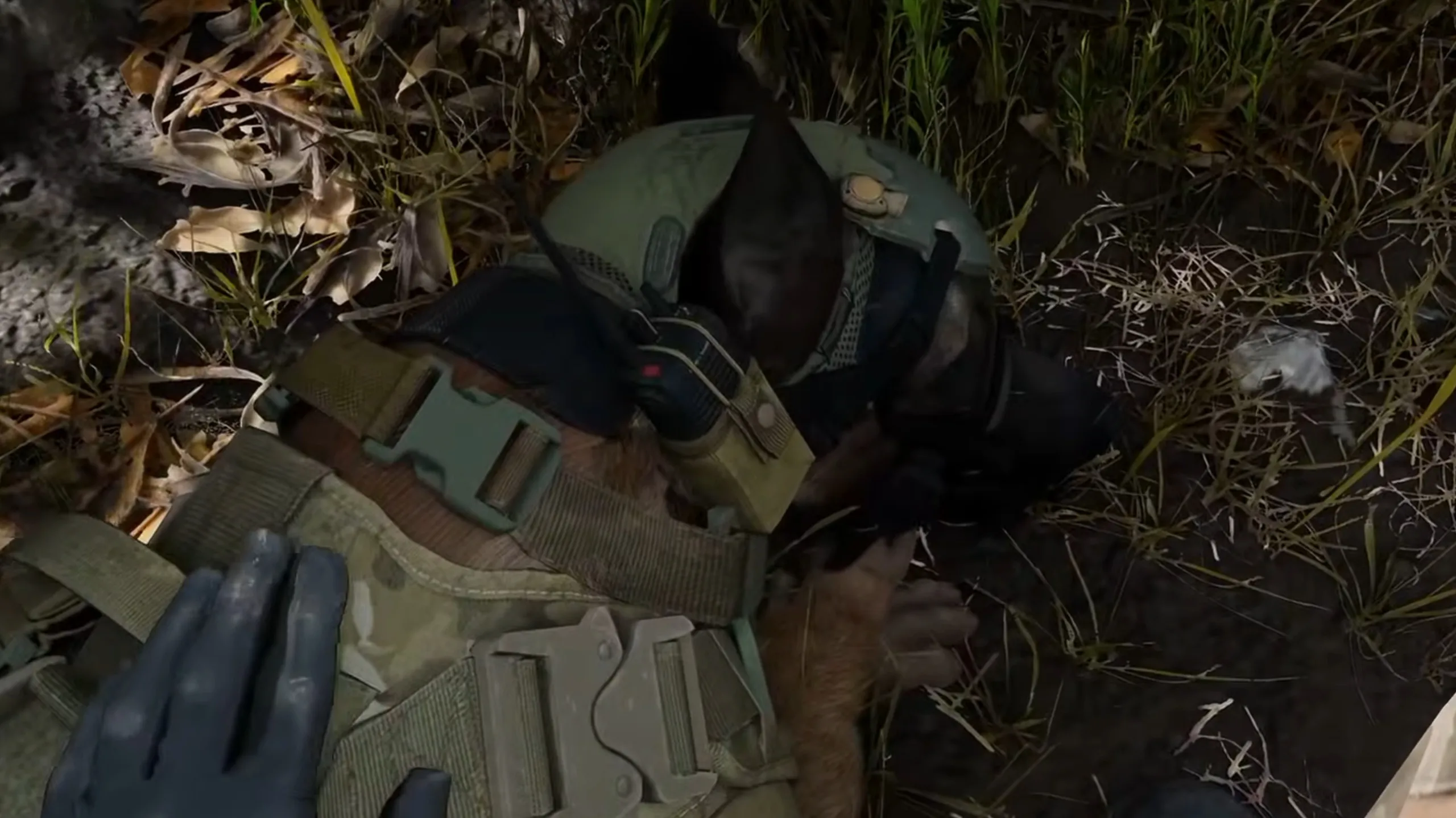 Can You Save Rex the Dog in MW4 DMZ?