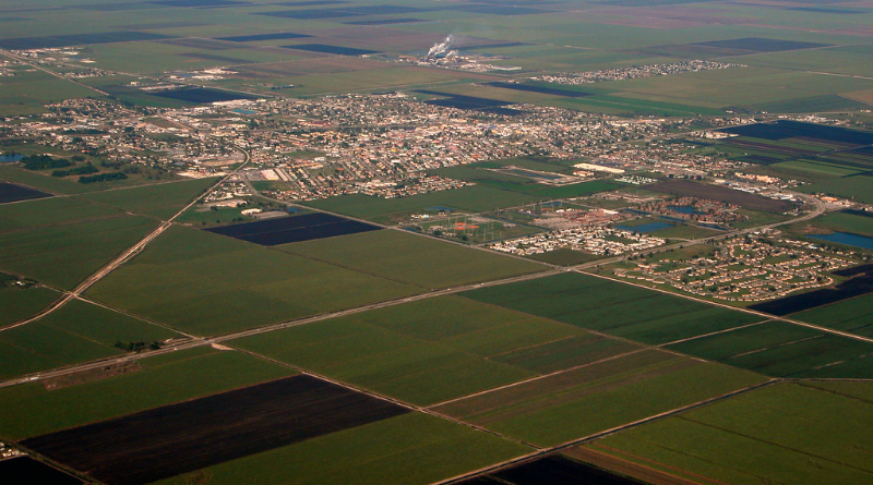 Florida Farmers Are Making The Move To Regenerative Agriculture