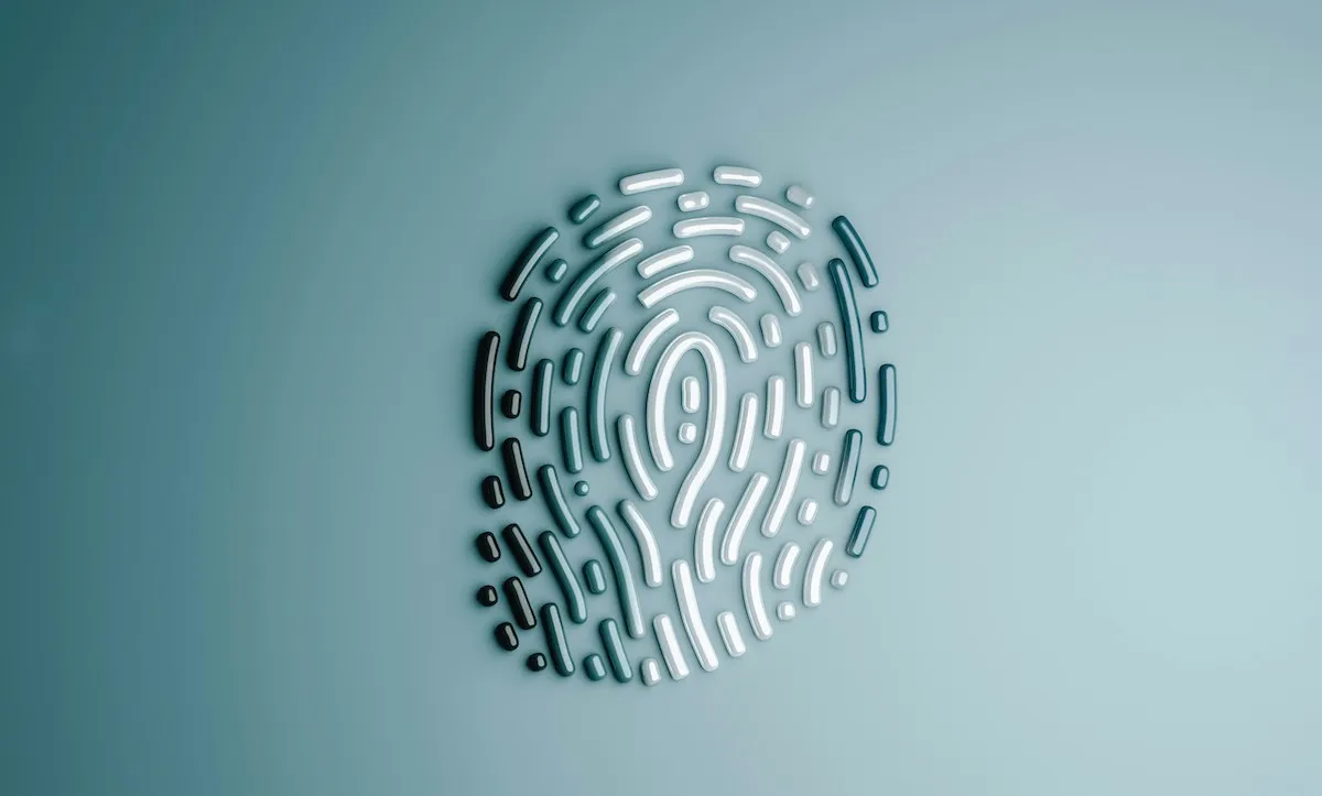 States Move to Centralize Digital IDs as More Services Go Online
