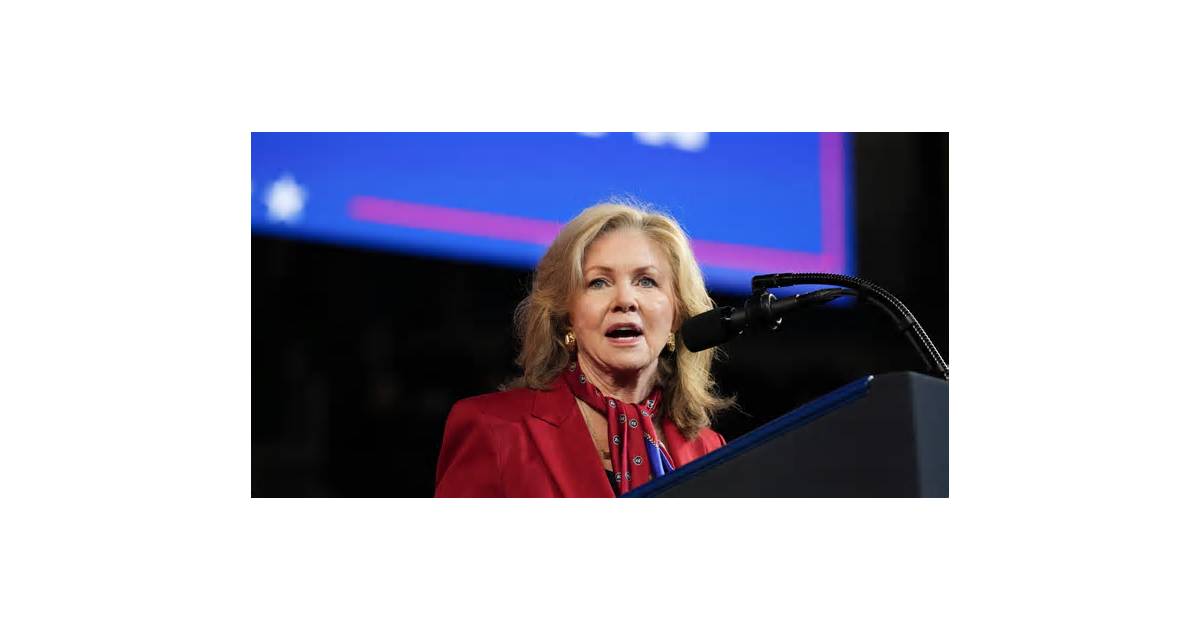 Senator says planned Meta commercial terms update could harm US businesses