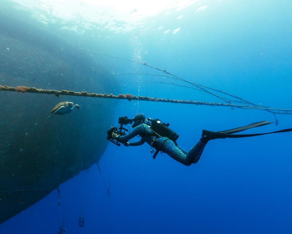 Blue Planet III features cloudier footage to prove authenticity amid AI boom
