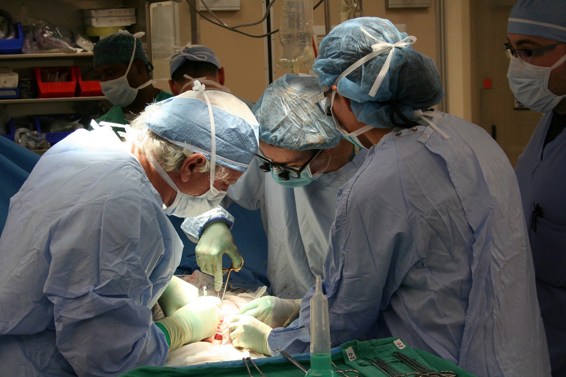 Tegoprubart preserves kidney function better than tacrolimus in first-time transplant patients, trial suggests