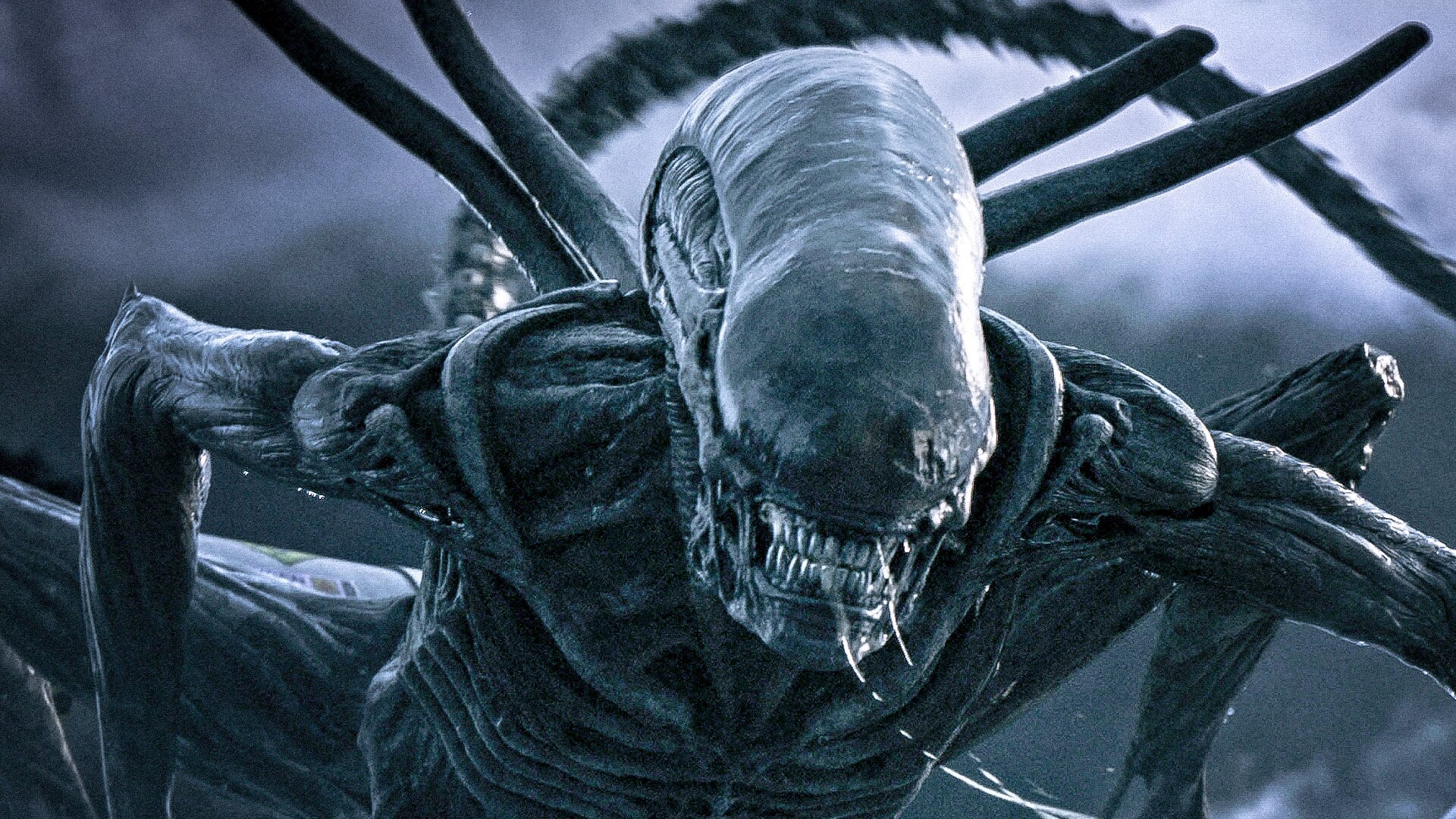 Alien: Covenant Follow-Up Adds Prisoners Writer Aaron Guzikowski