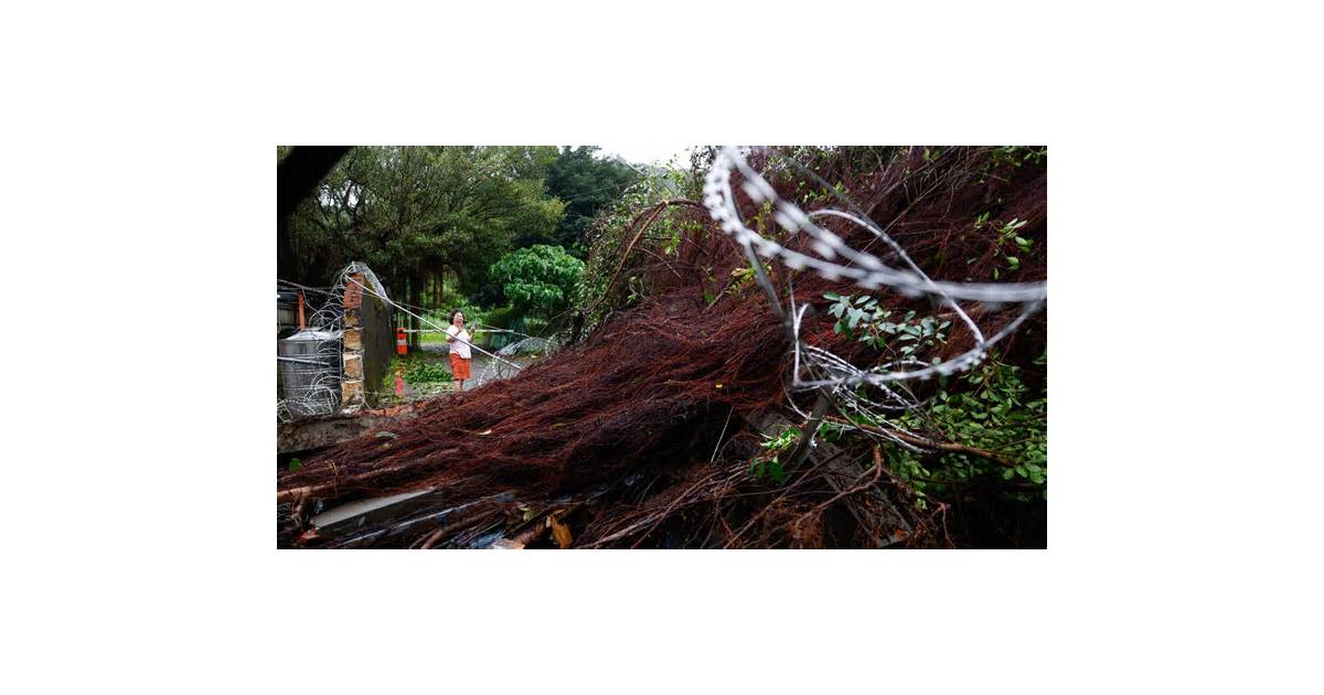 Typhoon Champi sweeps past Taiwan, one dead and 500 injured