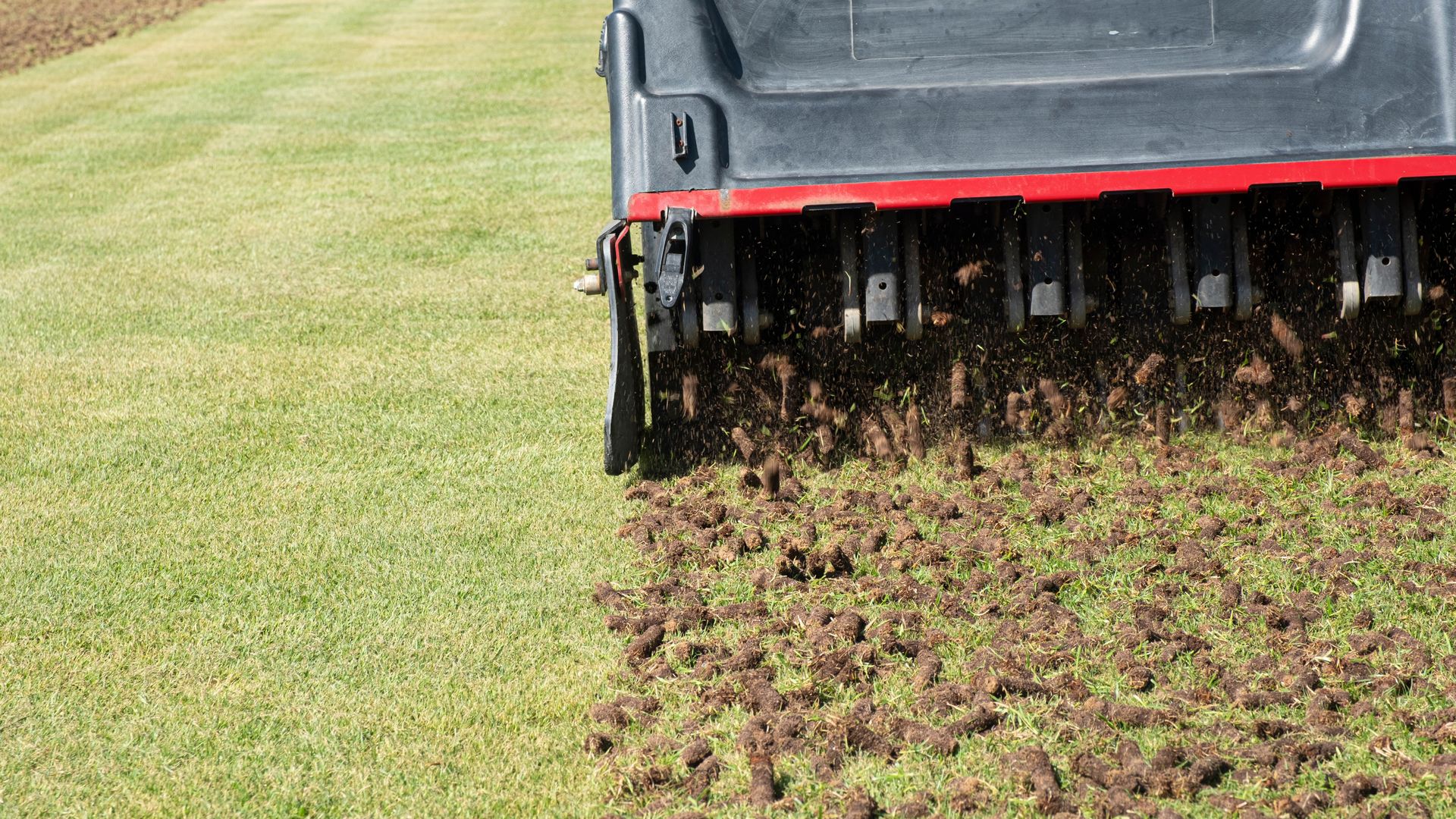 How can I tell if my lawn is compacted? Here’s what the garden experts say (and how to fix it)