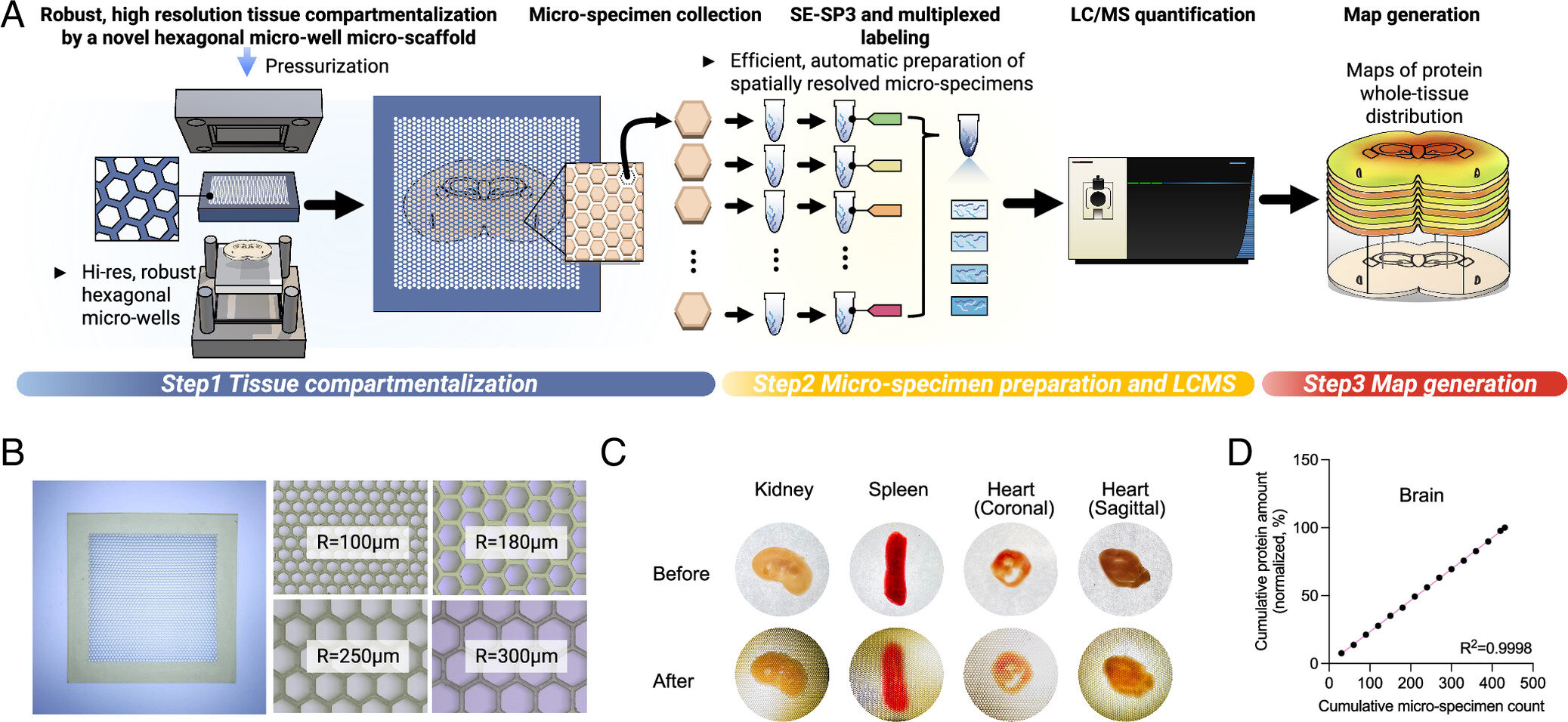 Creating 'satellite maps' of thousands of proteins across tissue could transform drug therapies