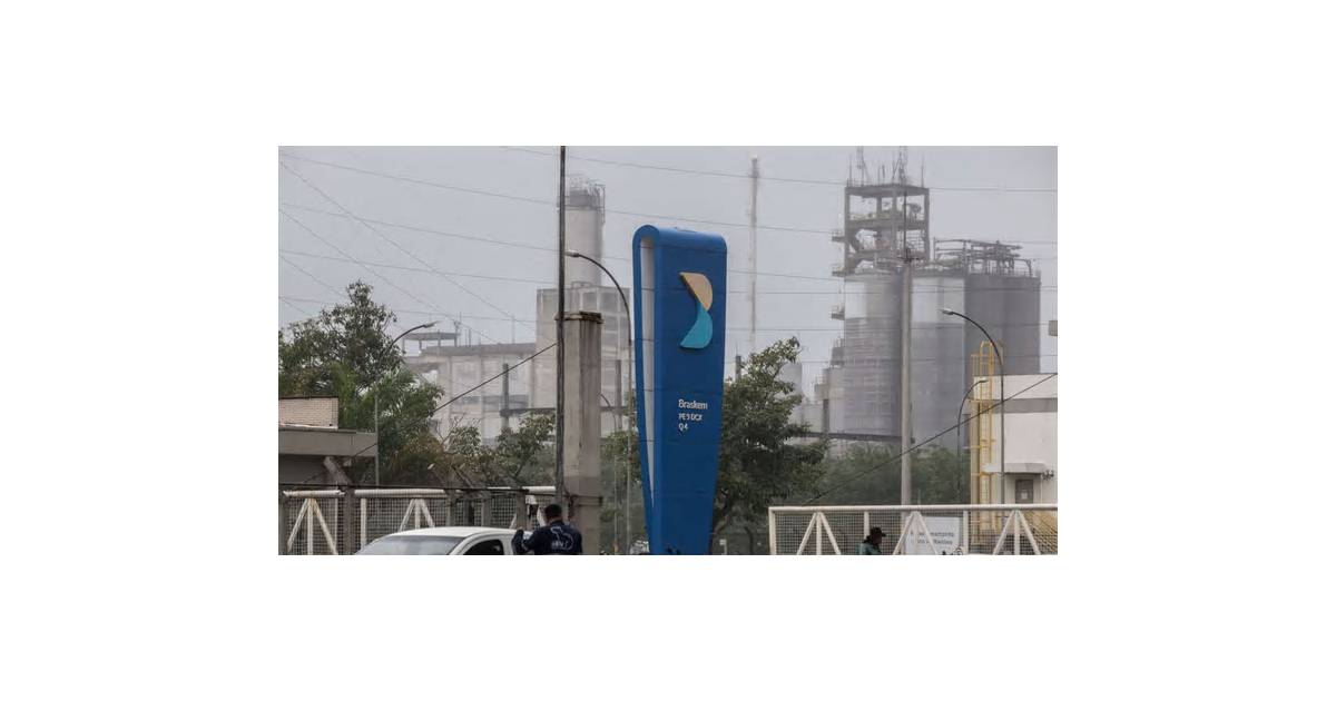 Braskem Discloses Details of Debt Rework Proposals to Investors