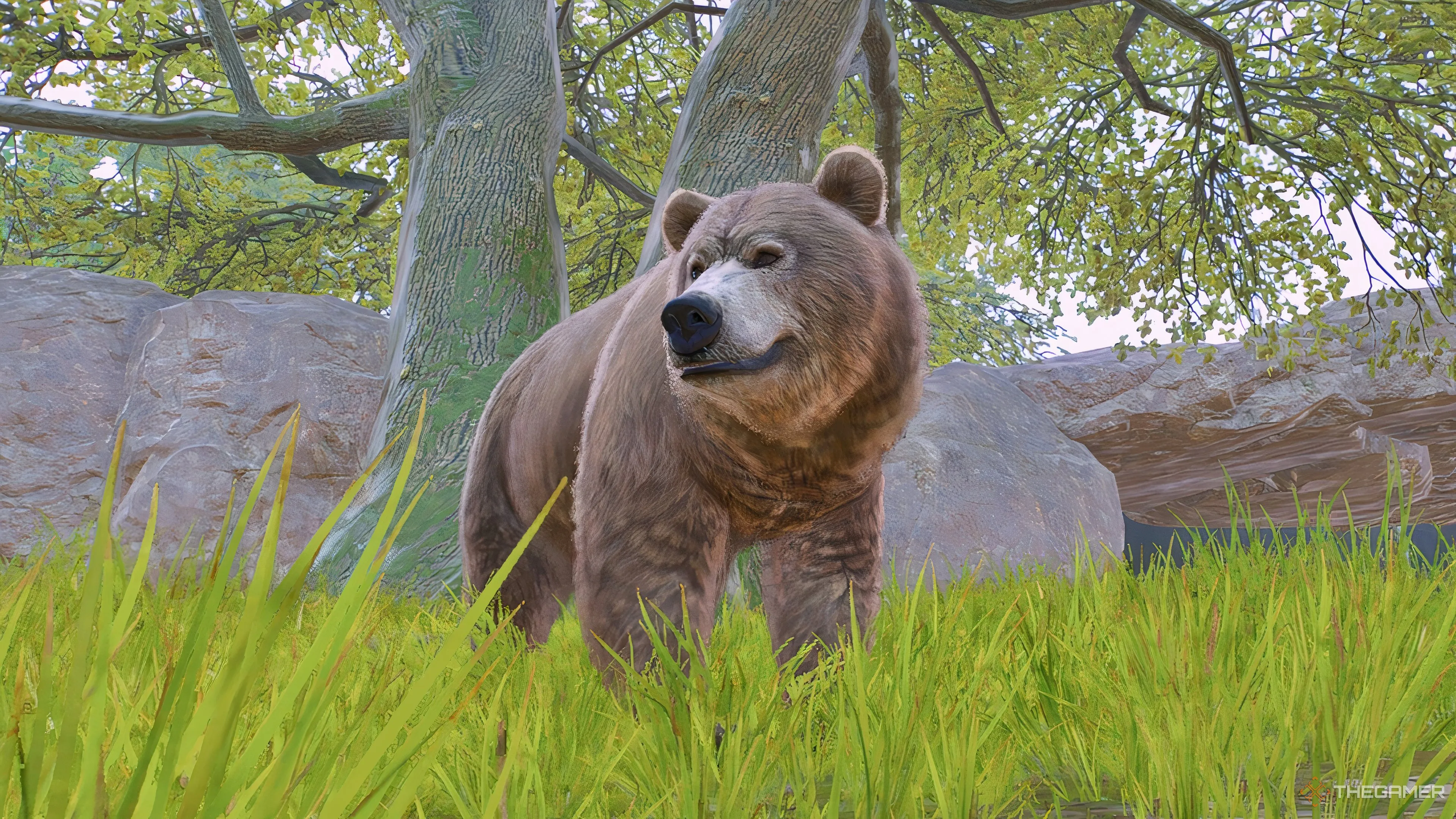 Is The Deluxe Version Of Planet Zoo 2 Worth It?