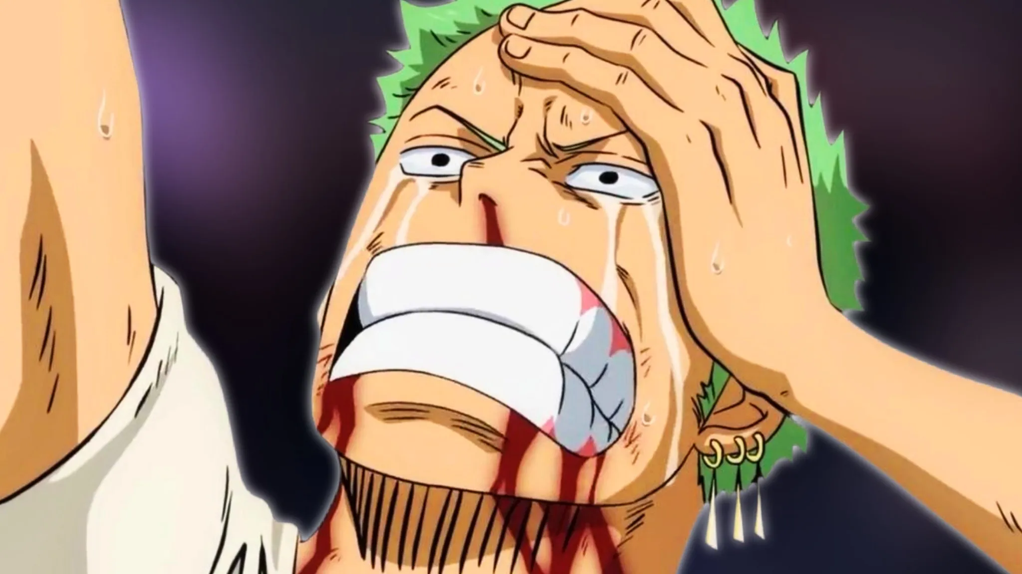 One Piece: 8 Characters Zoro Failed To Beat, Ranked
