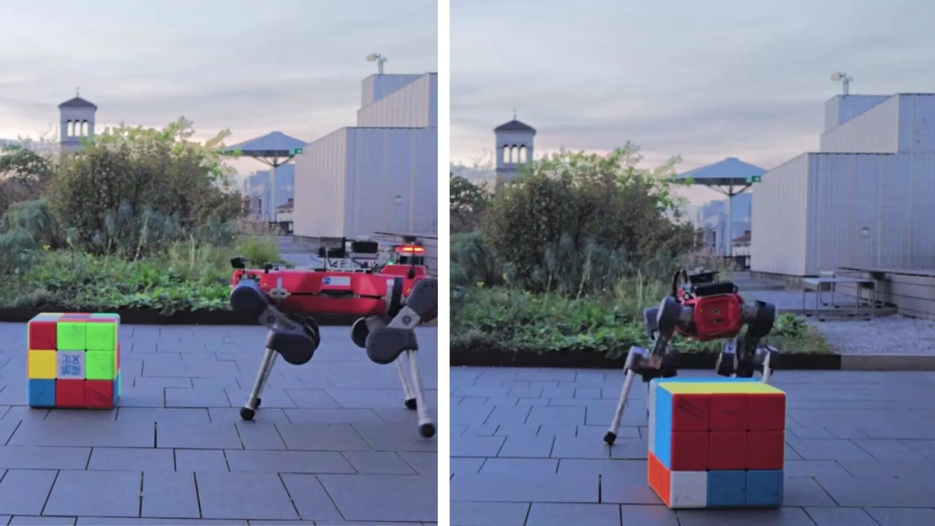 Watch: Four-legged robot solves giant Rubik’s Cube without using hands
