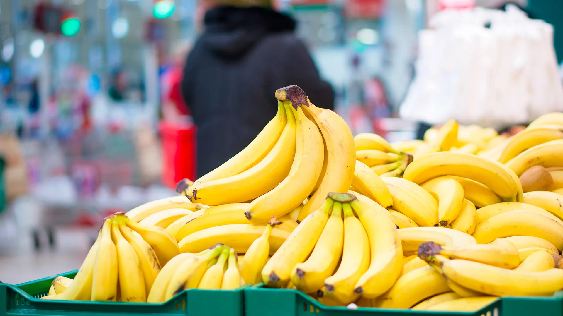 Australia Ships First Ecoganic Bananas to Japan After 28 Years