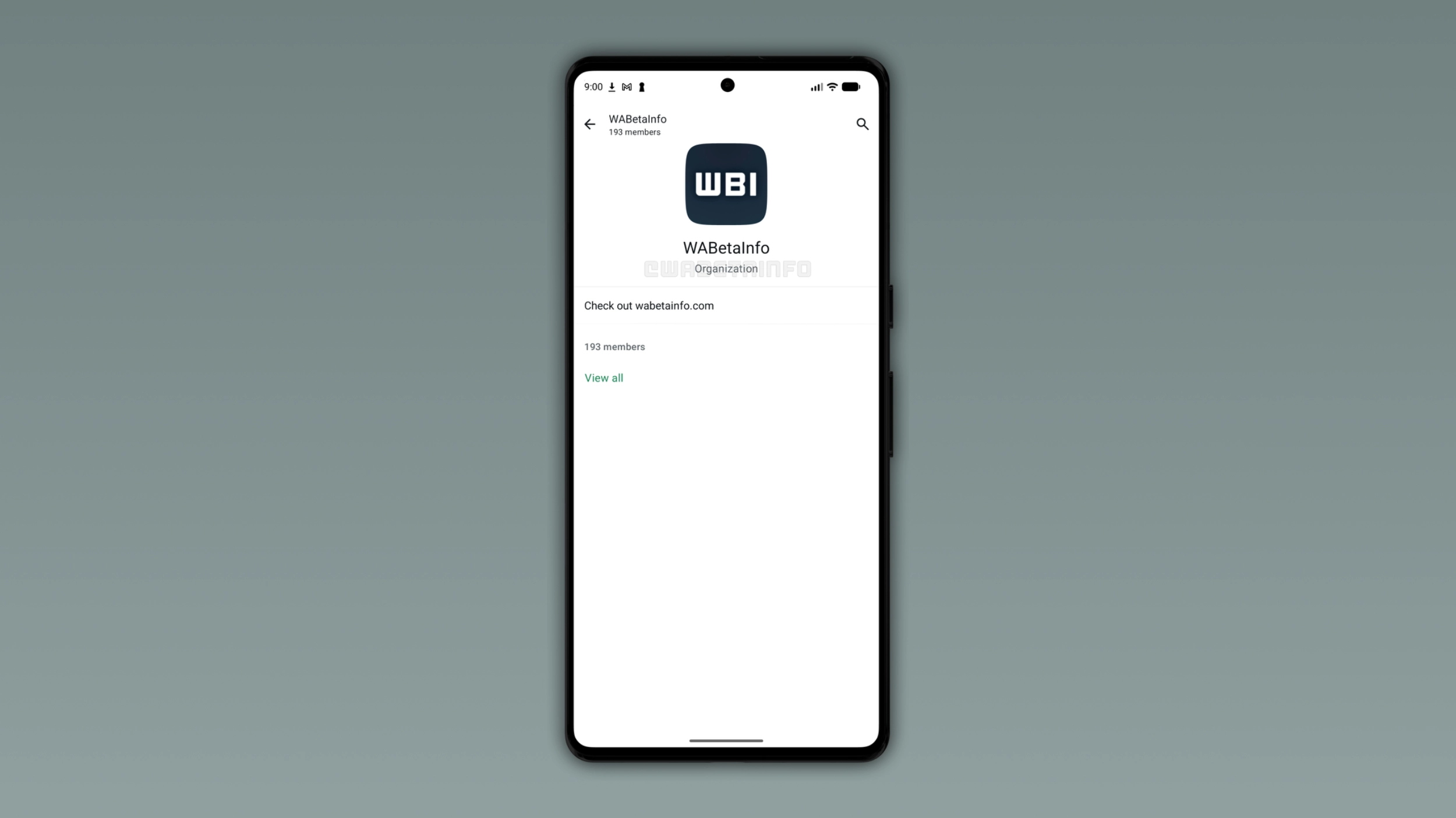 WhatsApp is testing Organizations to manage large communities