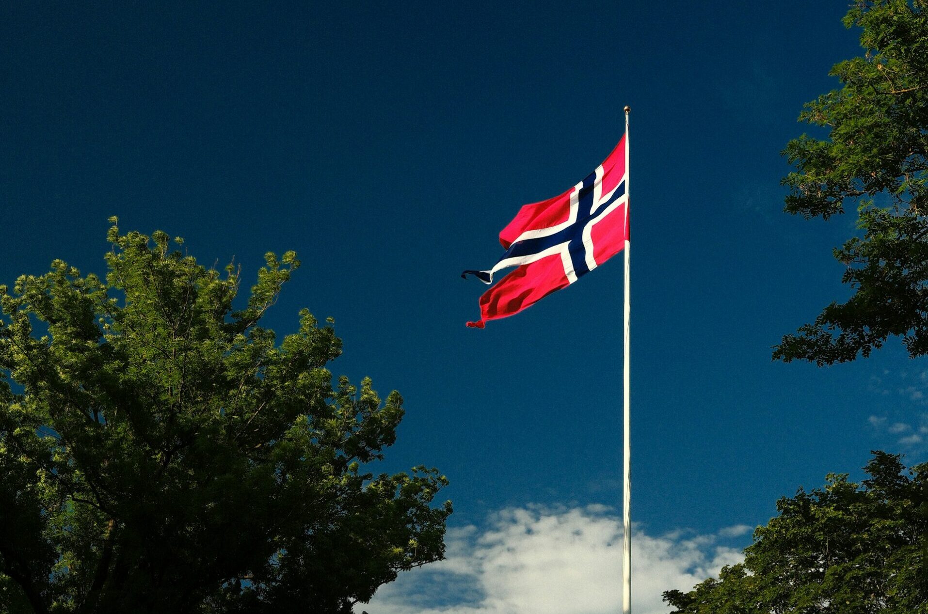 Norwegian alliance calls for increased solar support