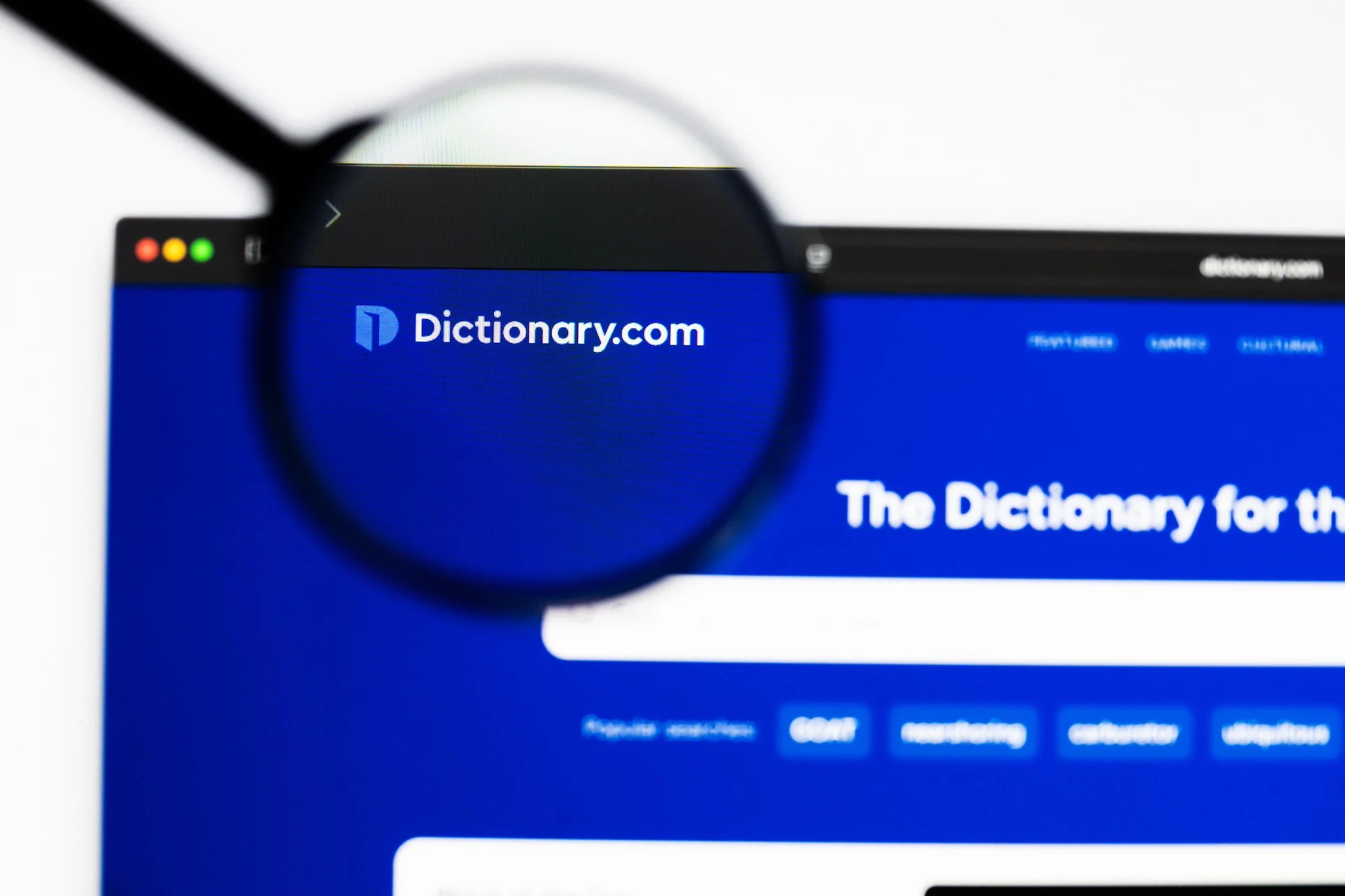 We Regret to Inform You That ‘Maxxing’ Is Dictionary.com’s 2026 Word of the Year
