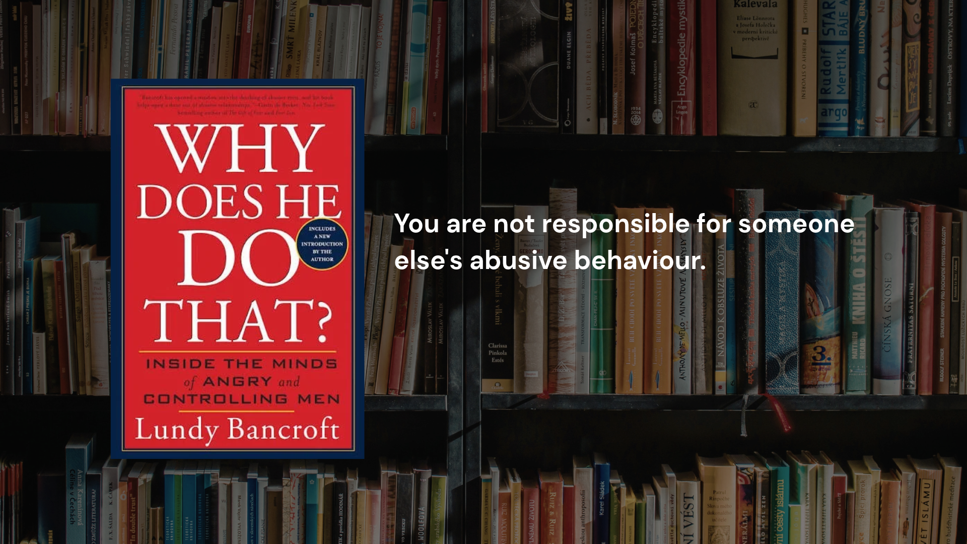 5 Lessons to Learn from Why Does He Do That? by Lundy Bancroft