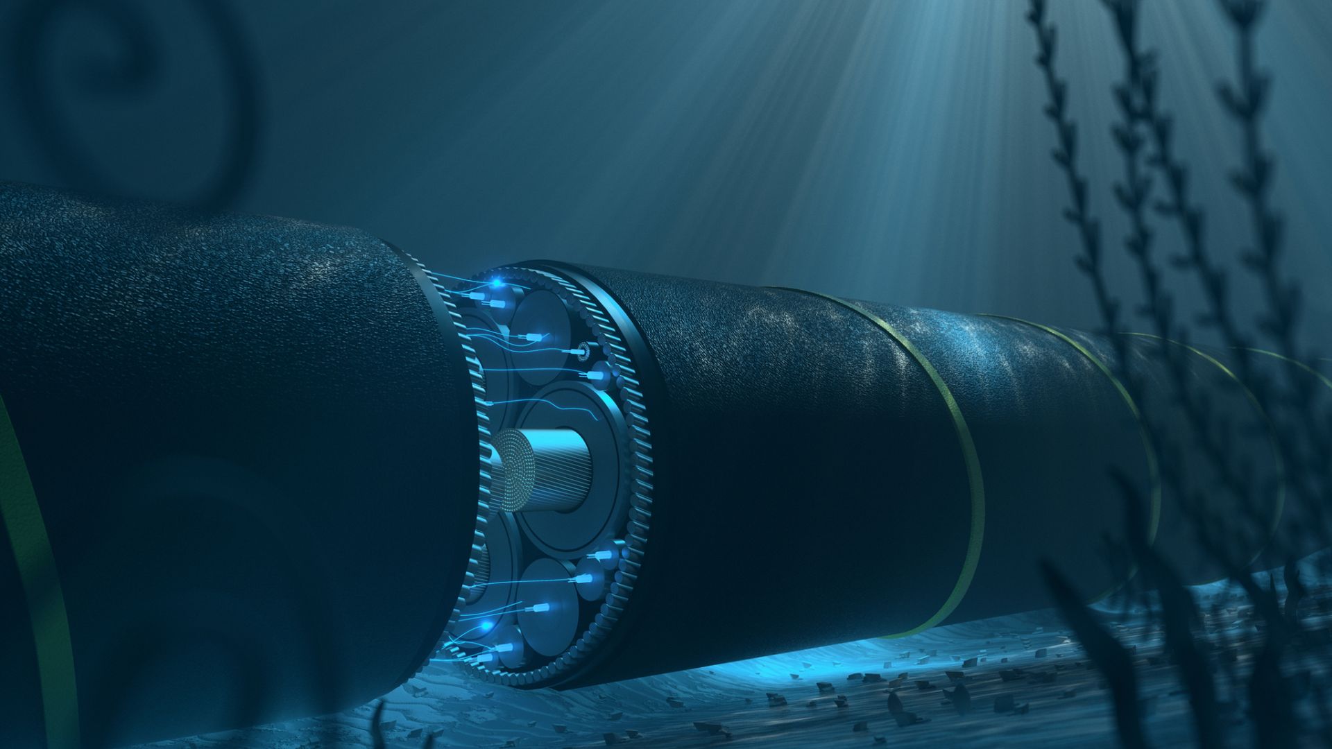 Chinese research vessels loiter near Pacific undersea cables more than any other nation, report finds
