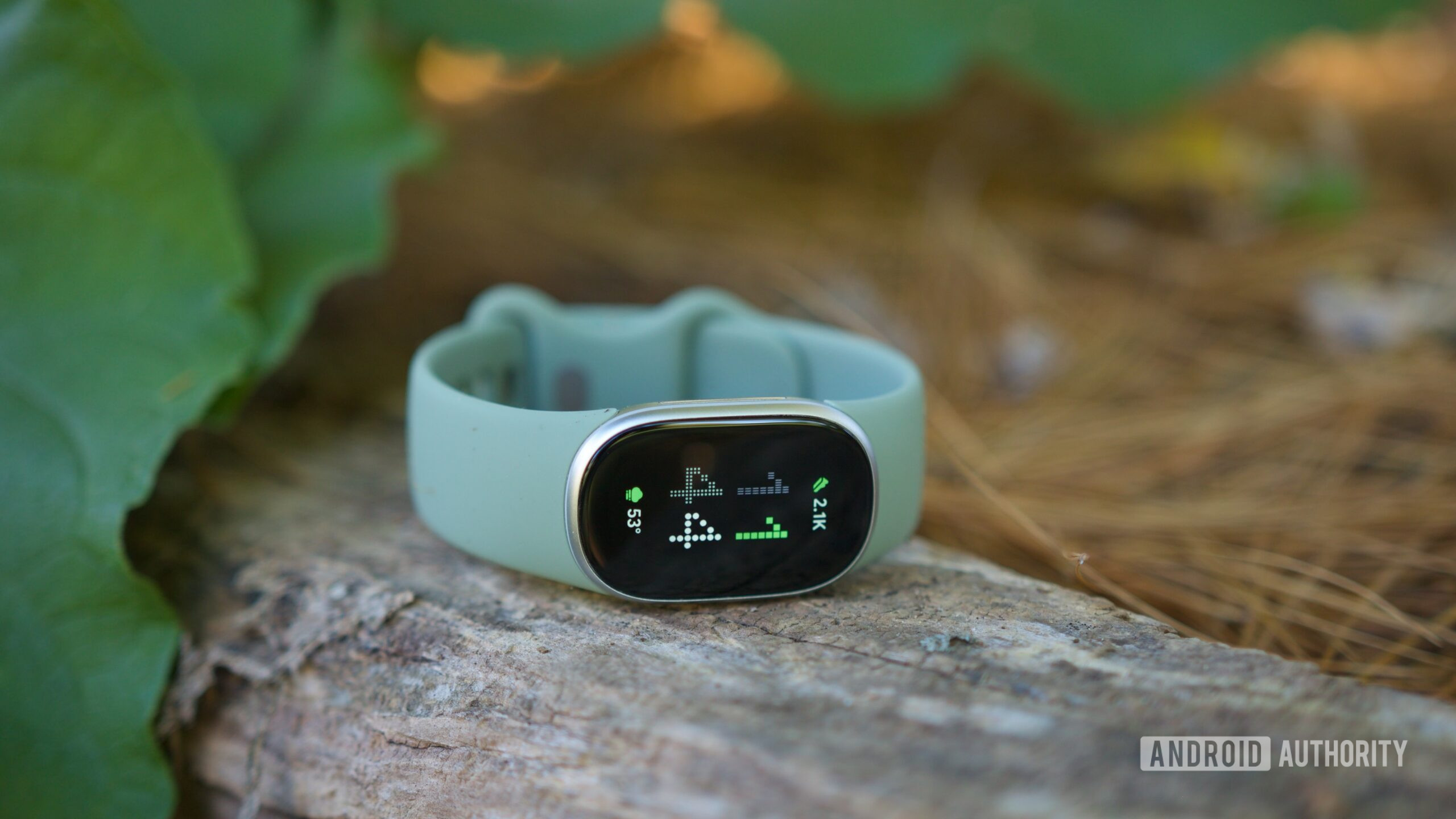 I thought I’d love the $180 Fitbit Edge. 7 days later, I’m just disappointed.