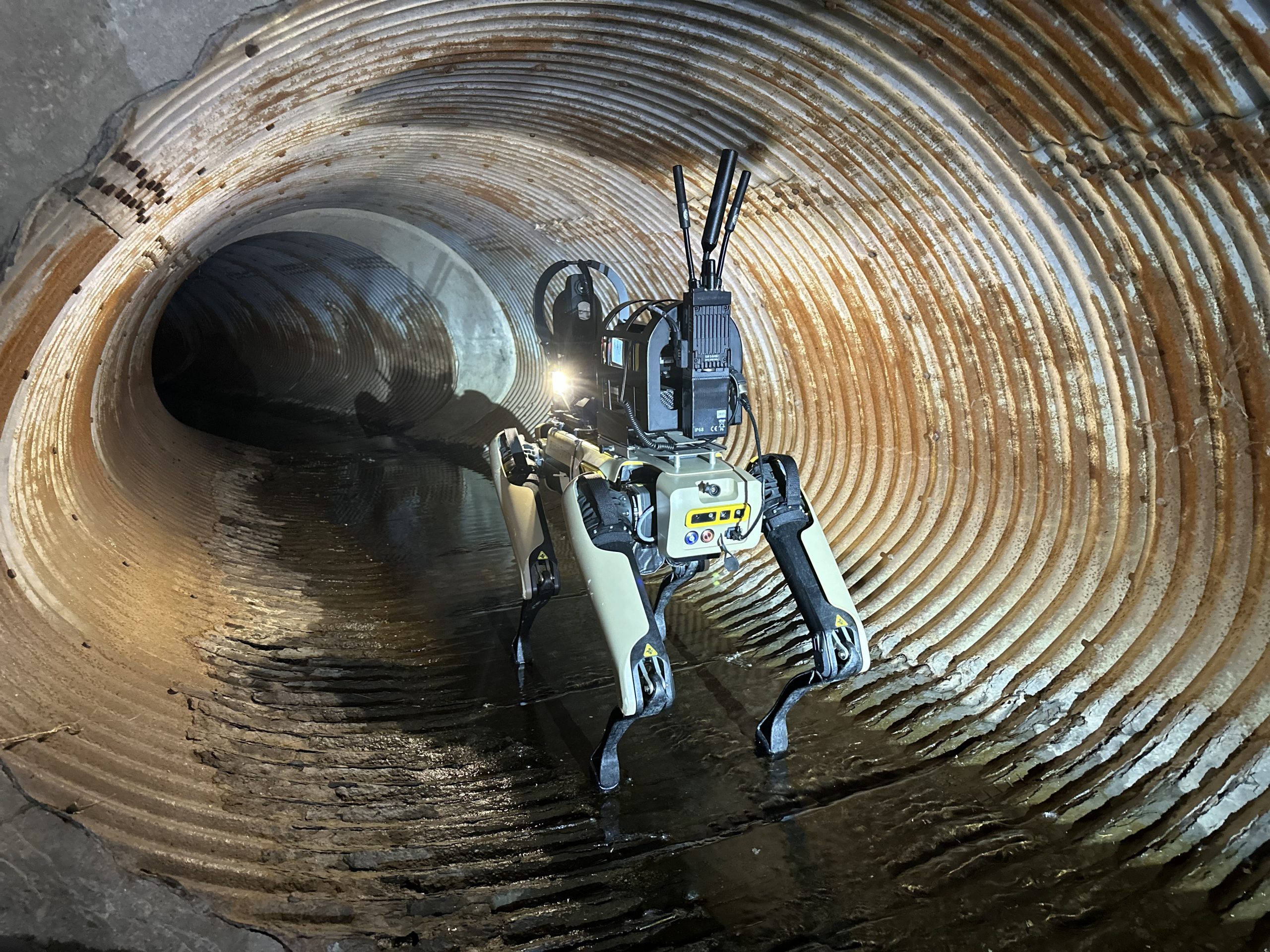 Boston Dynamics employees want to block sale of robot dogs to ICE