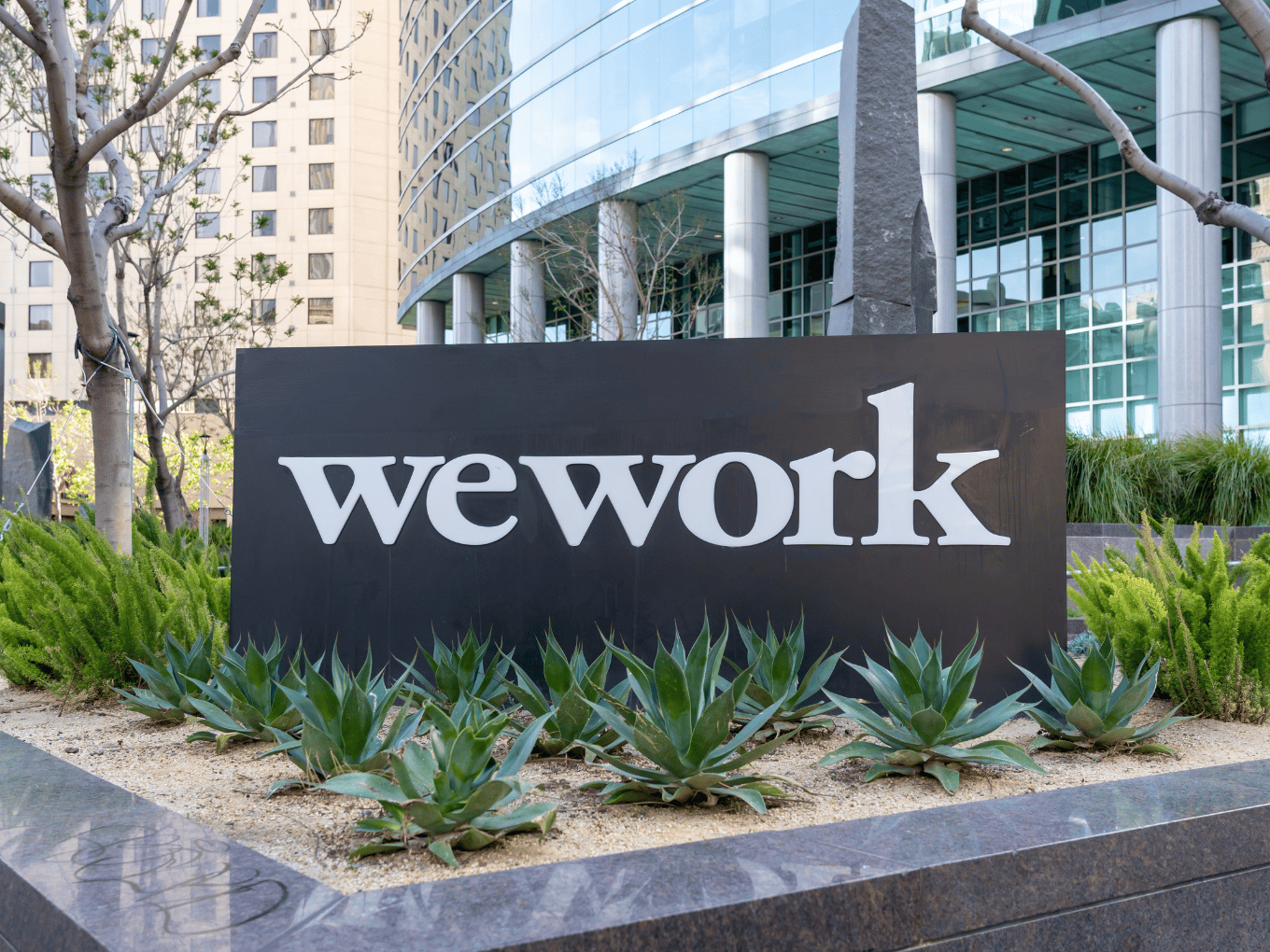 WeWork India Q2 Profit Jumps 219% To ₹20 Cr, Revenue Rises 34% YoY