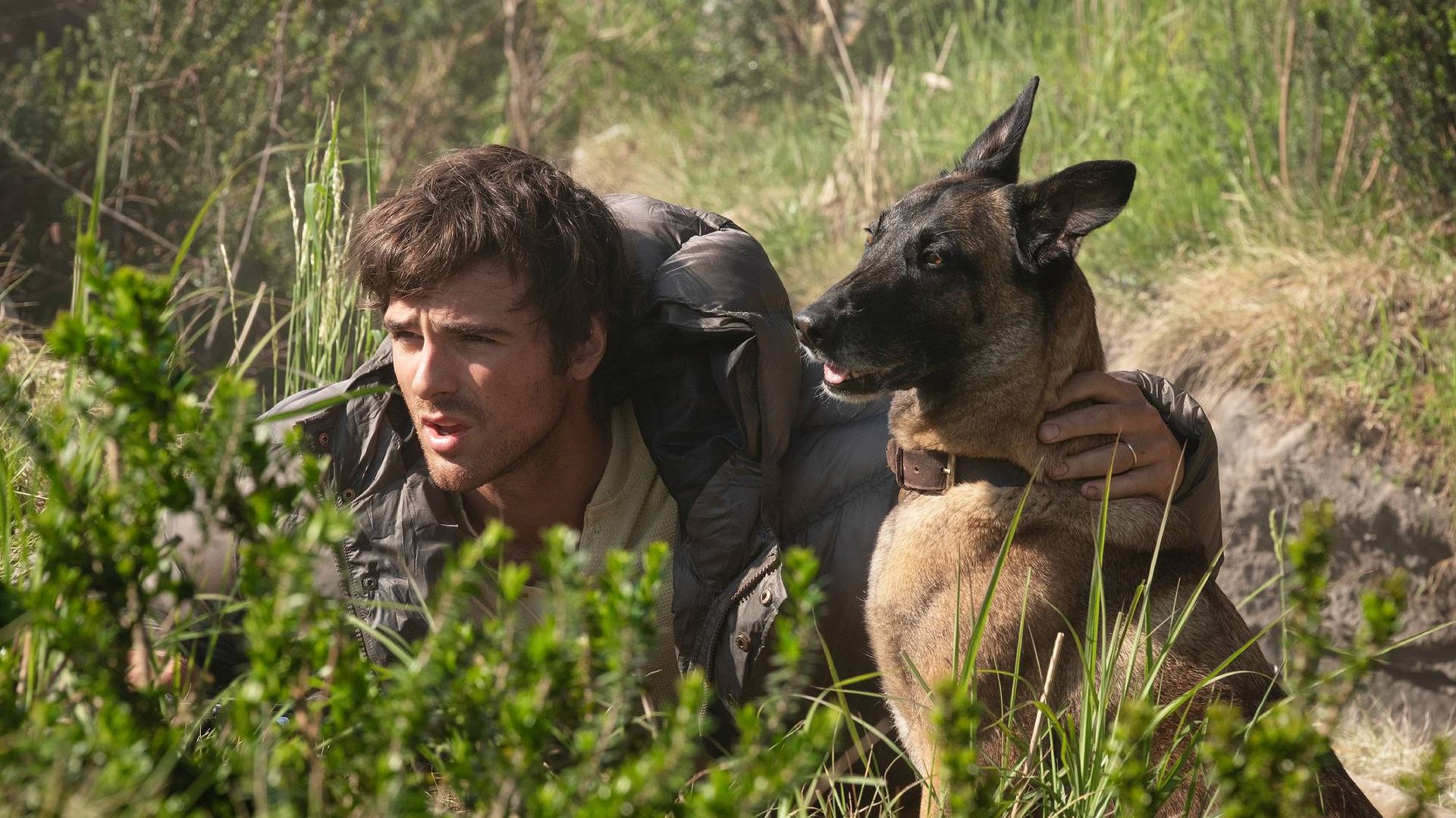 5 top new movies to stream this week on Paramount+, Hulu, Peacock and more (Oct. 27-Nov. 2)