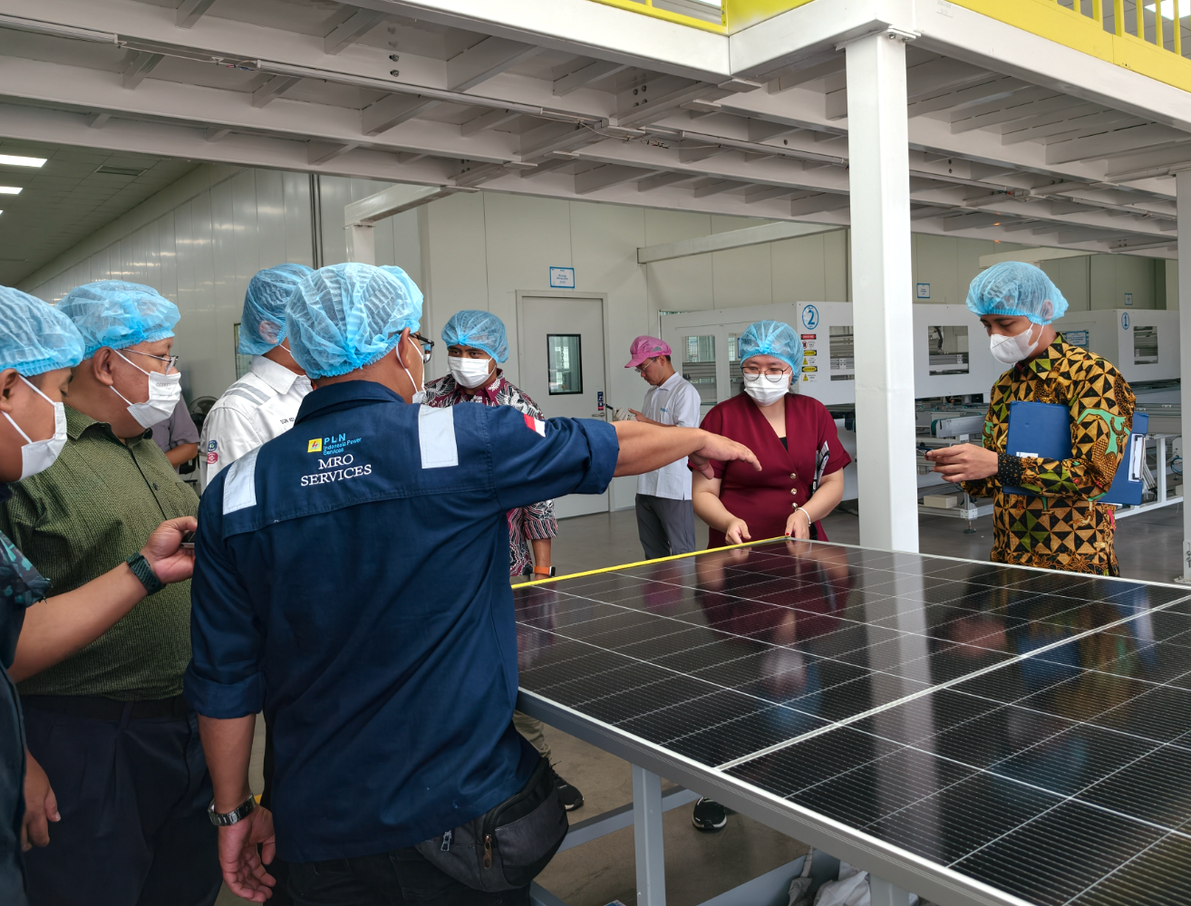 Indonesian utility unit uses local Trina modules for Bali solar project