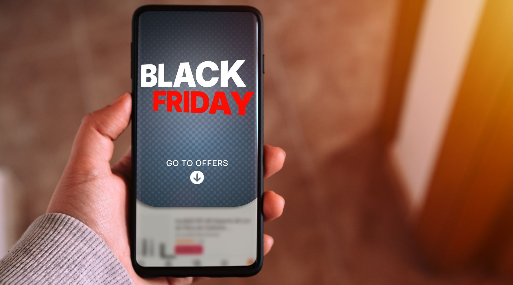 Online retailers not ready for Black Friday, expert warns