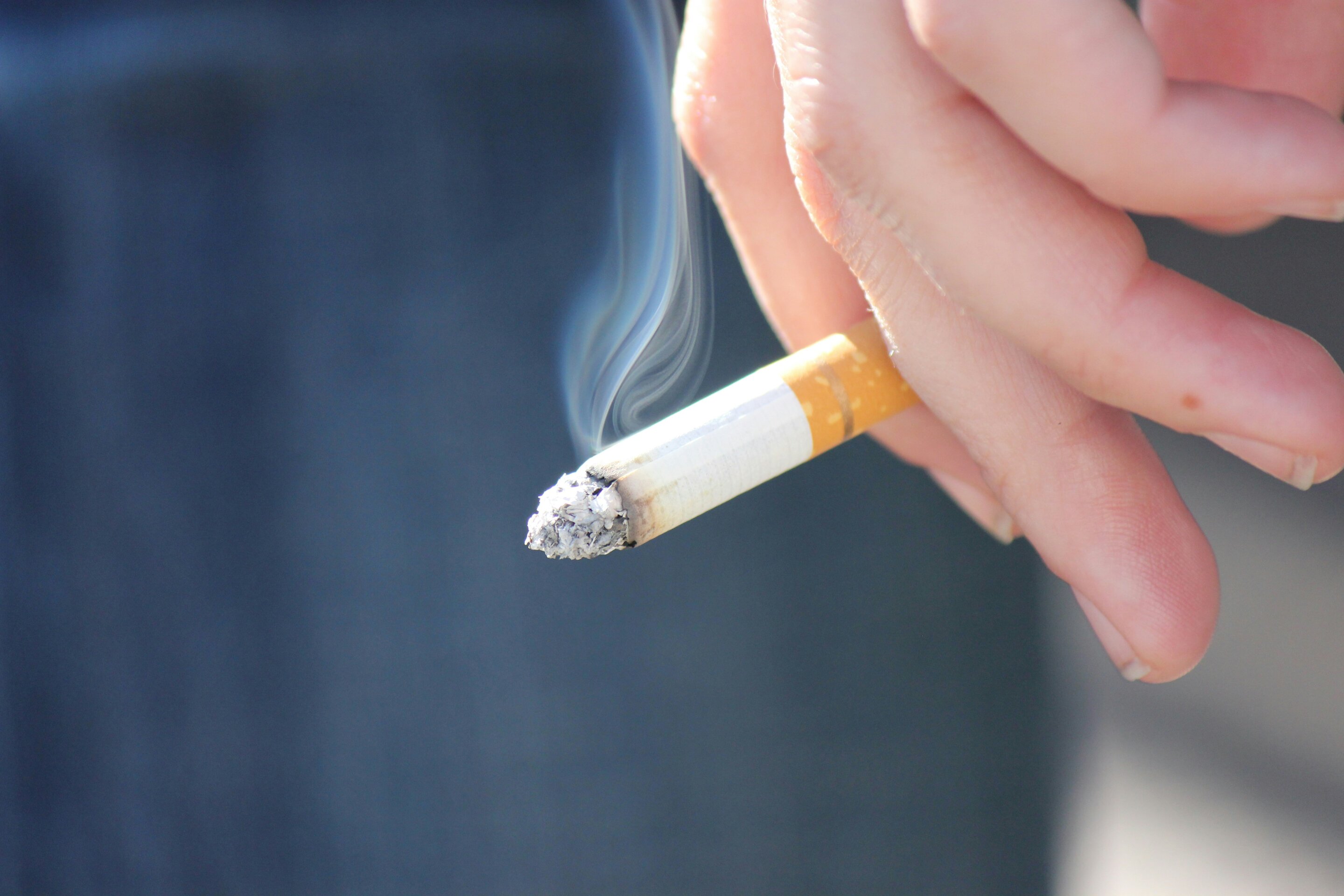 One session of heated tobacco use injures blood vessels and damages DNA