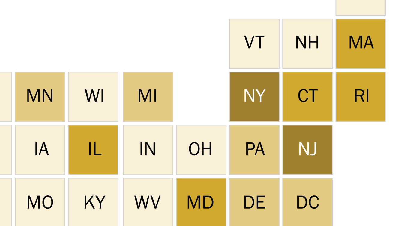 What We Know About Eligible Voters Who Are Naturalized U.S. Citizens
