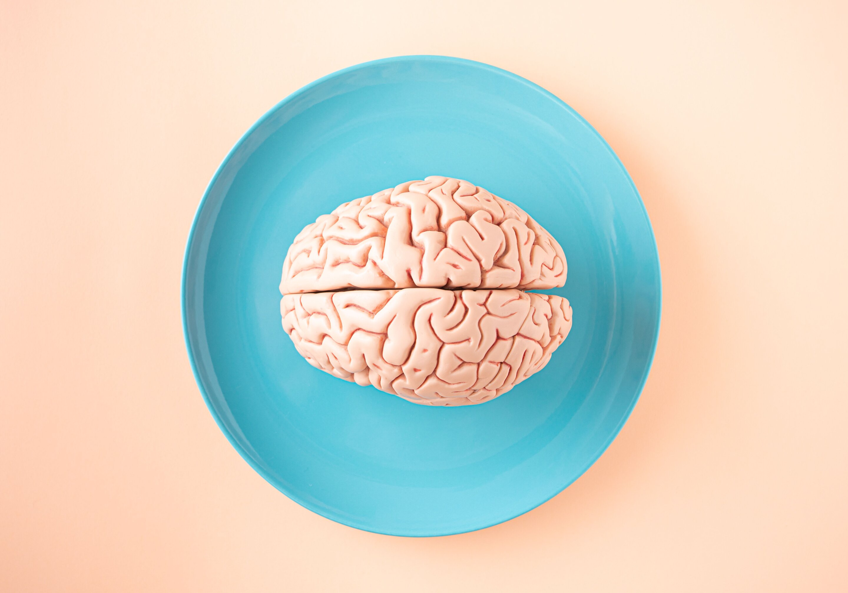 Testosterone helps new brain cells survive, but timing matters, study in male rats suggests