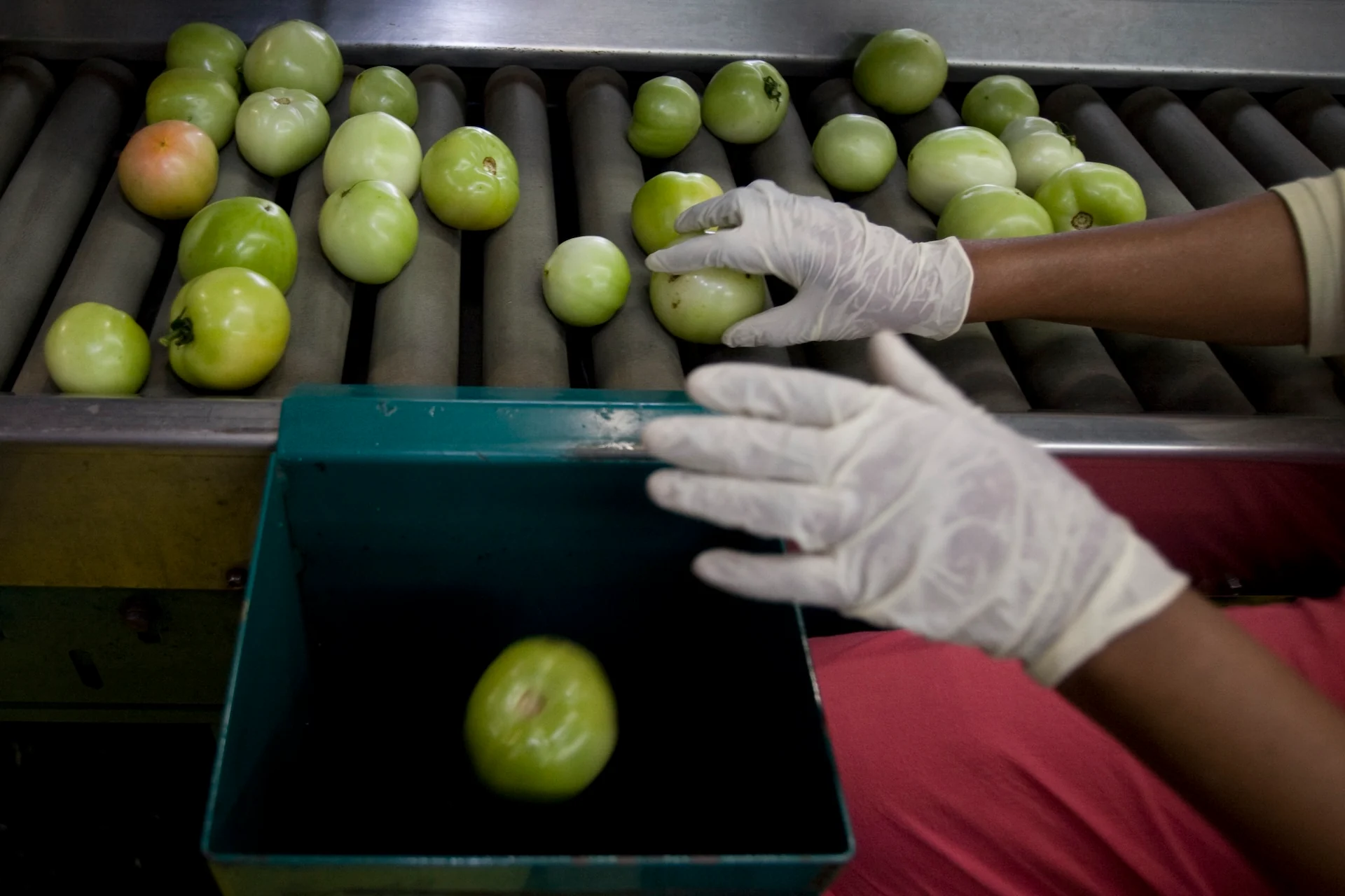 The FDA Conducted Just 5% of the Foreign Food Inspections It Was Supposed to Last Year