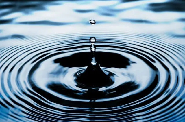 Ripple Treasury launches always-on corporate treasury