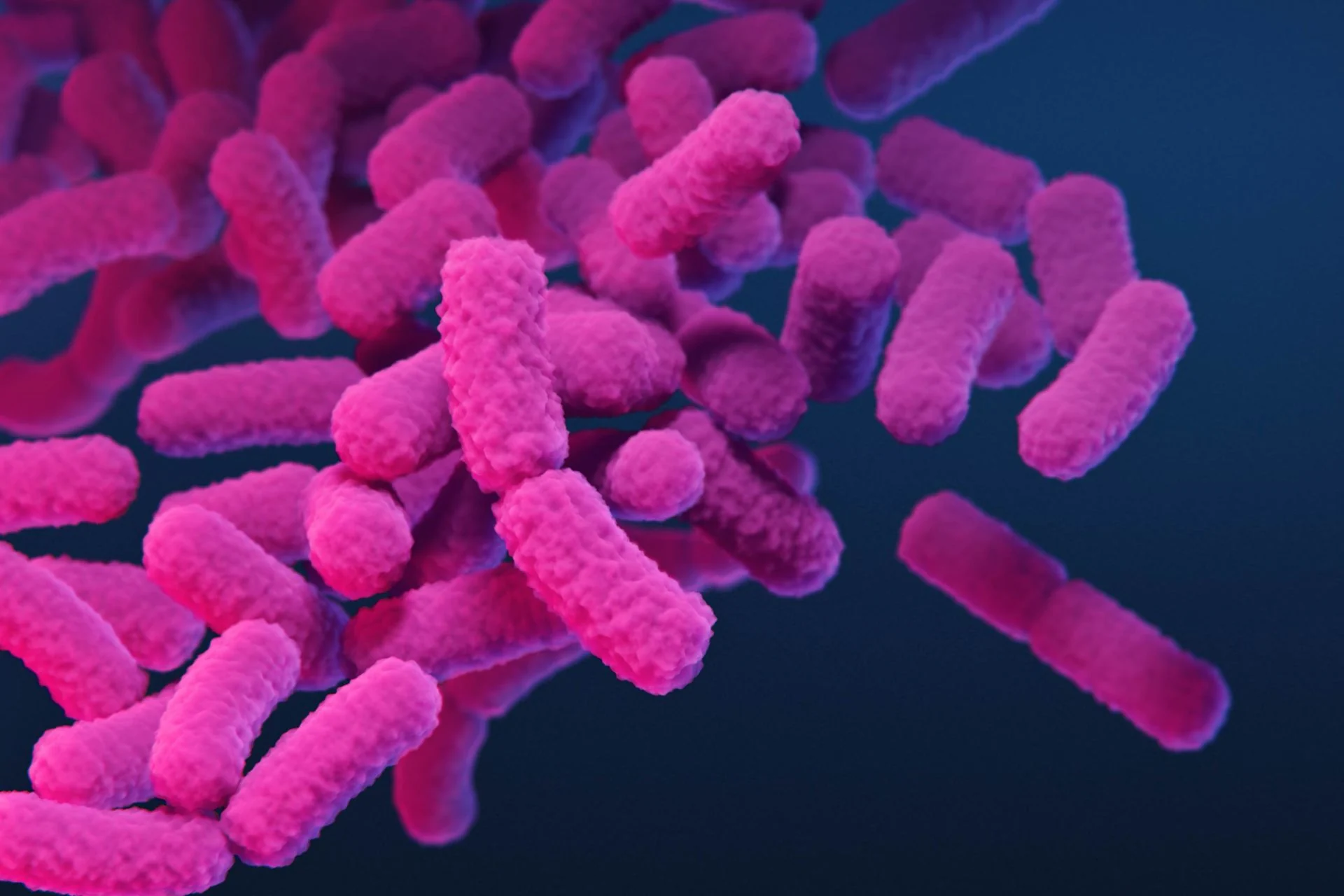 Superbugs Are Winning—and They’re Now Killing 50,000 Americans a Year